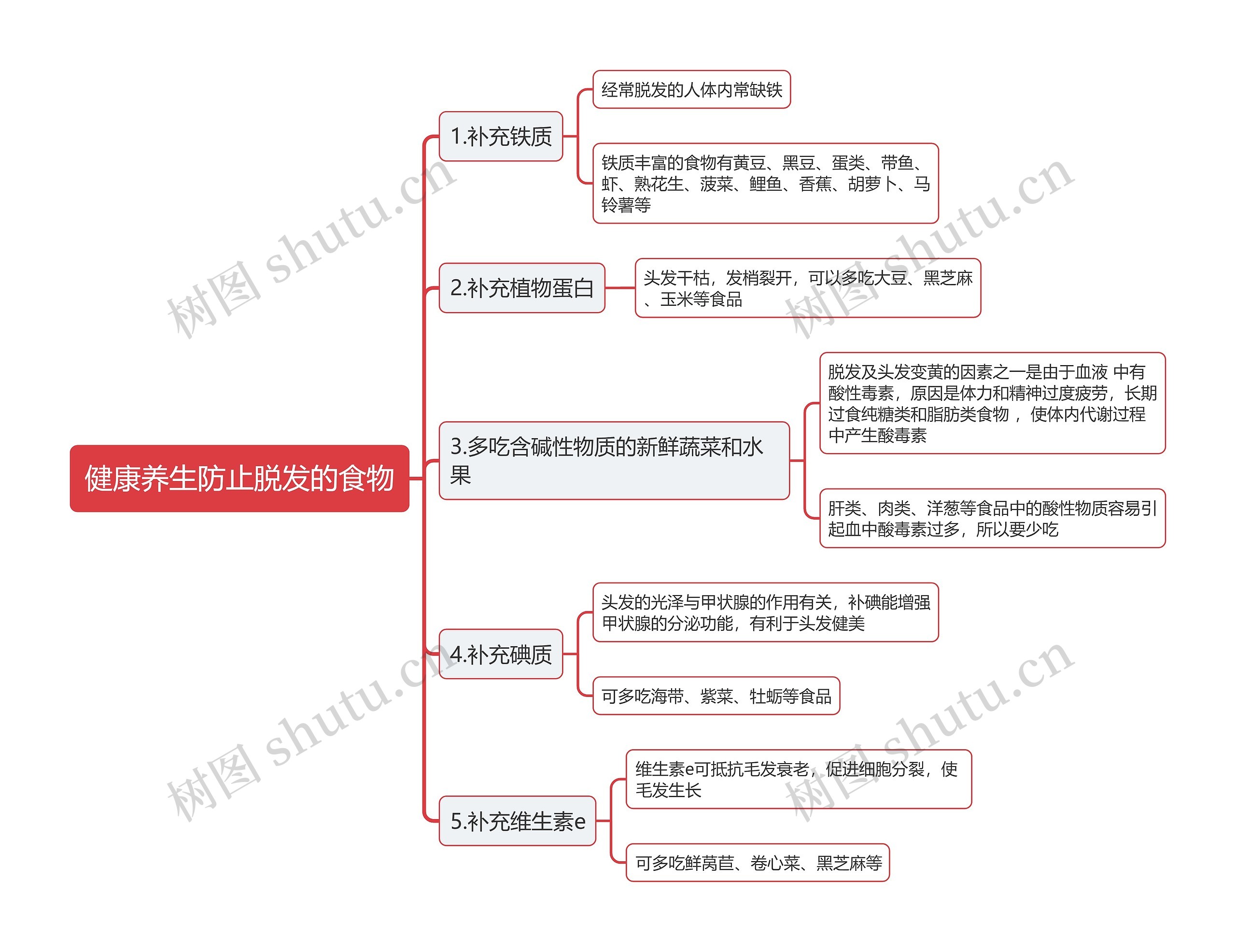 健康养生防止脱发的食物思维导图