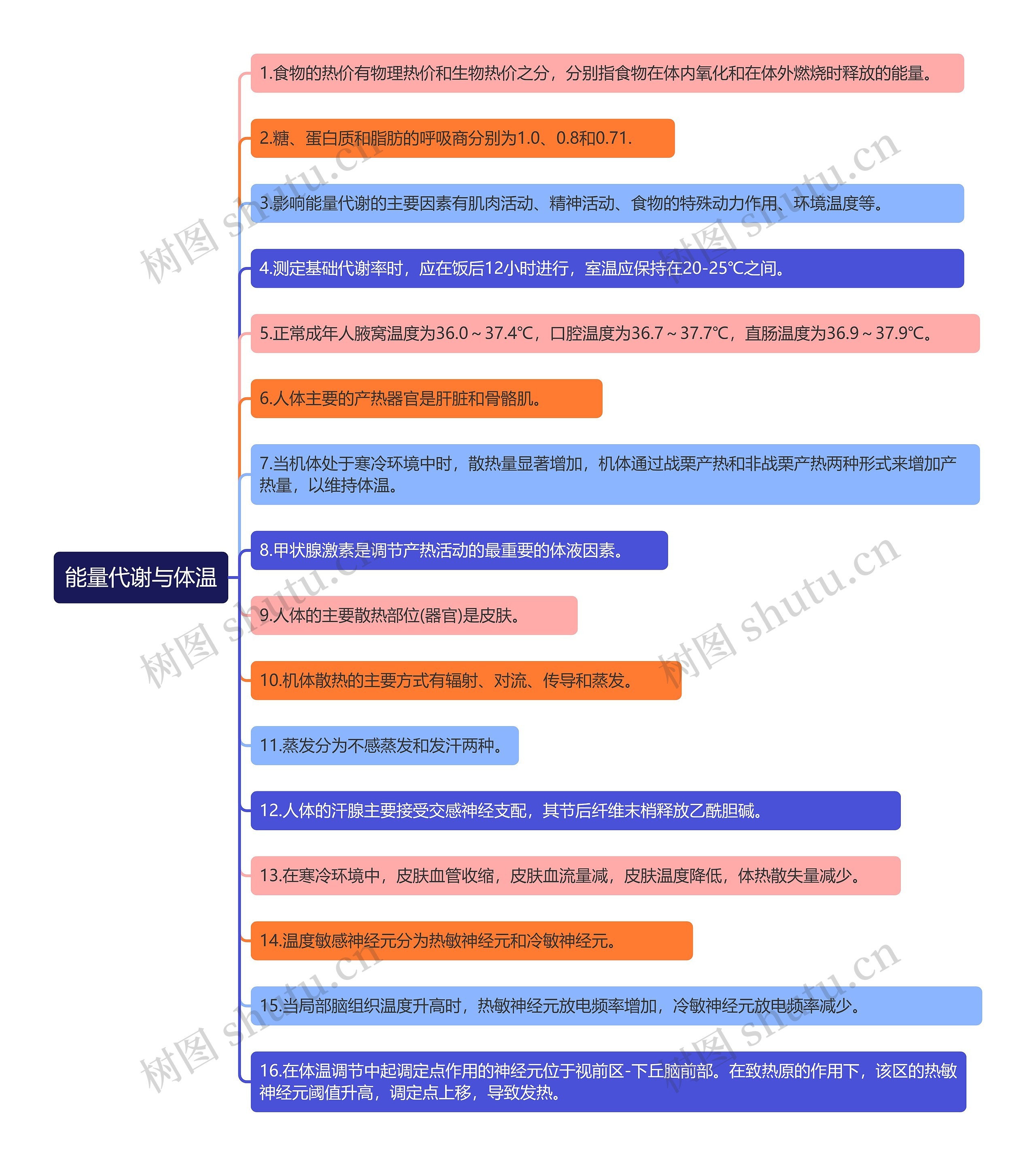 能量代谢与体温知识点思维导图