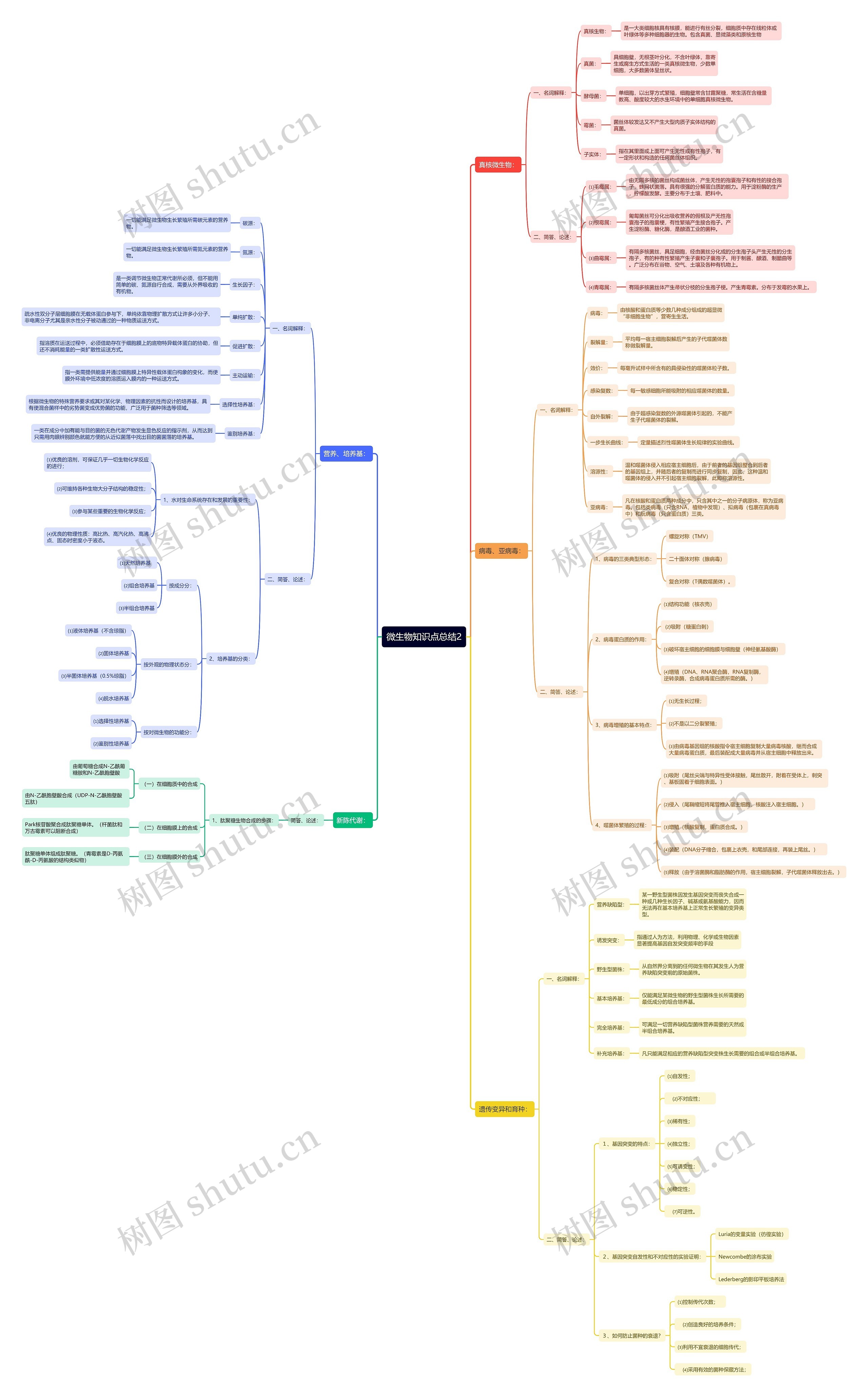微生物知识点总结2思维导图高清图 微生物知识点总结2思维导图