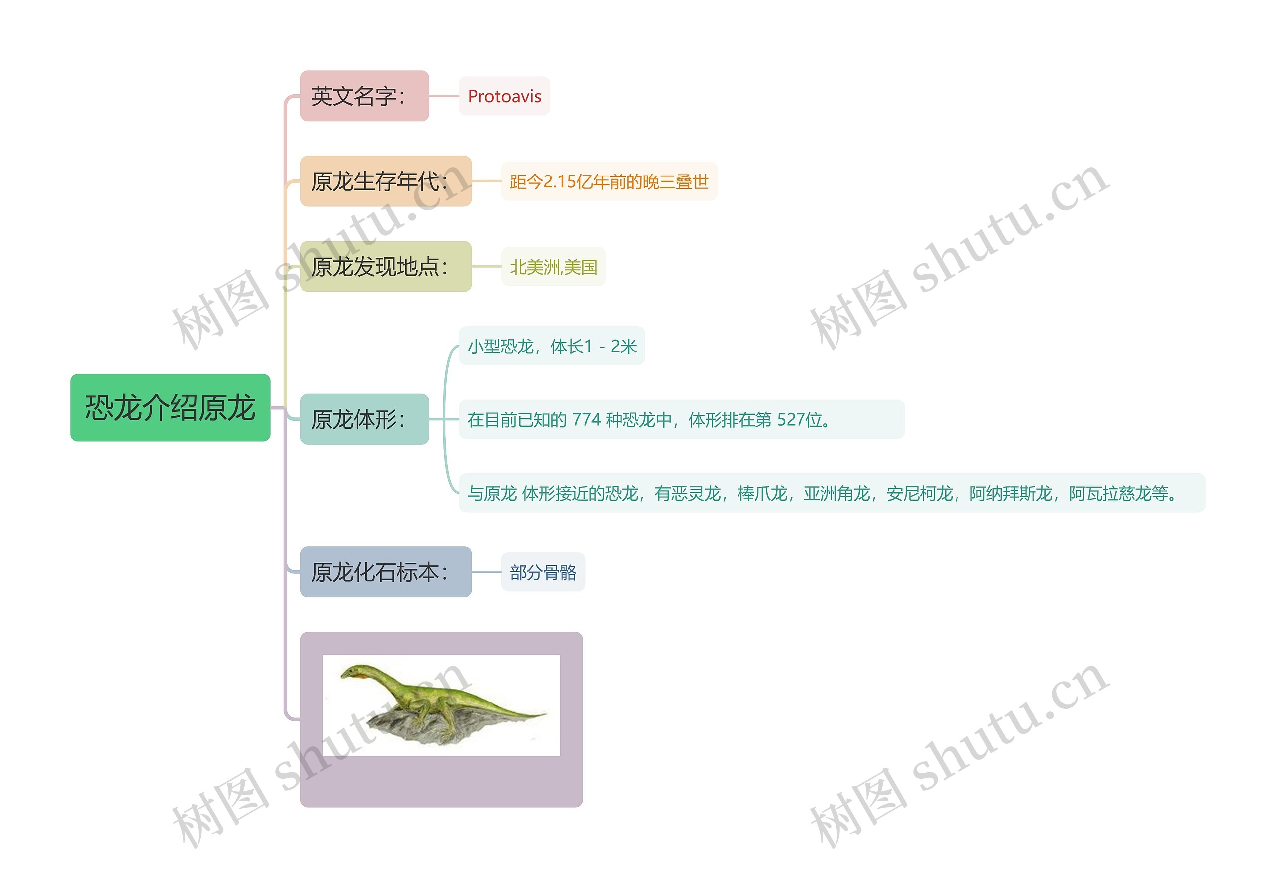 恐龙介绍原龙思维导图