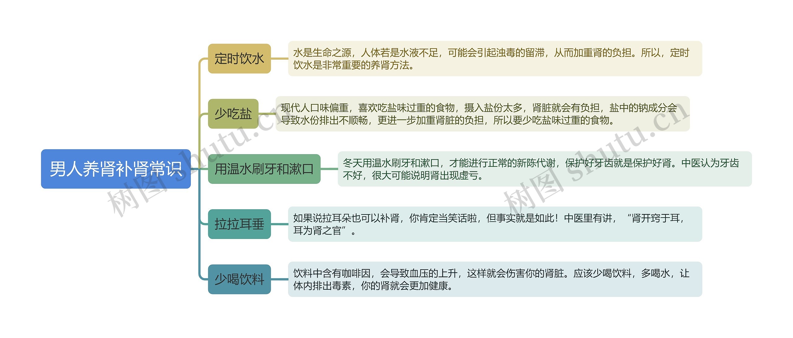 男人养肾补肾常识思维导图