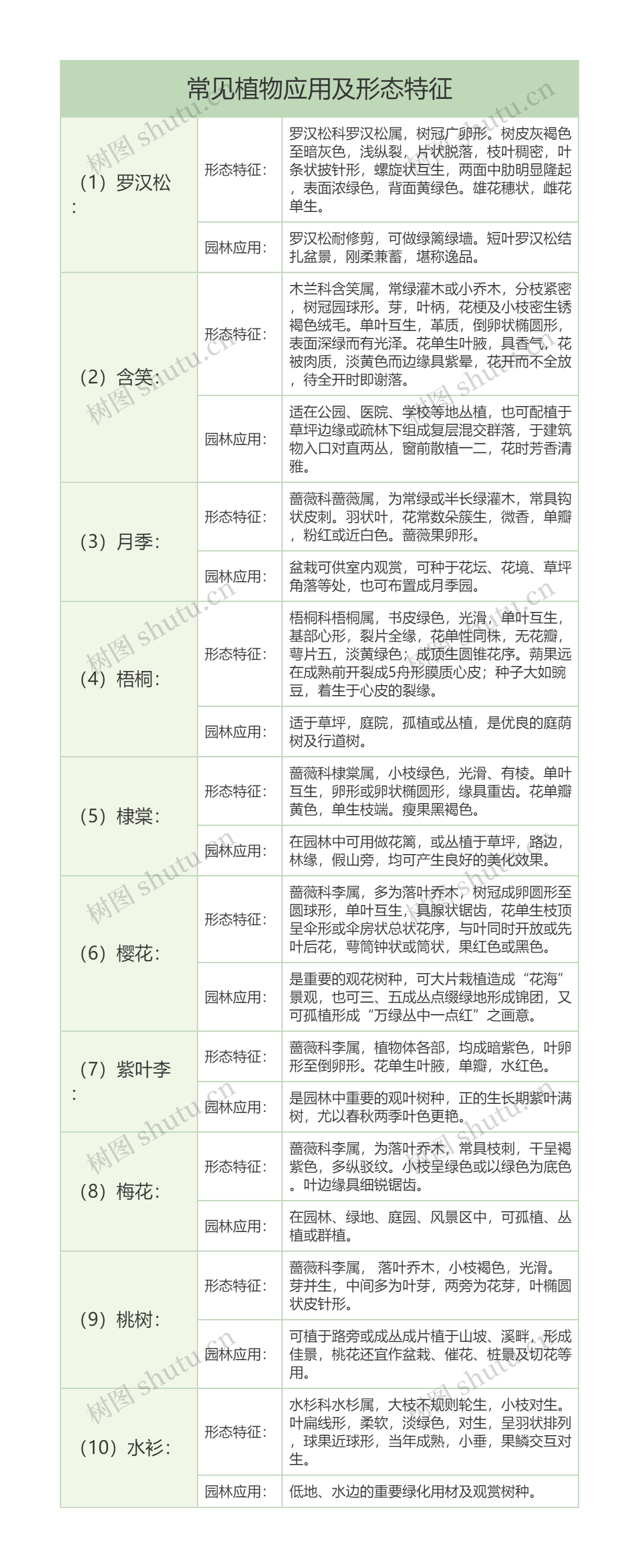 生物知识常见植物罗汉松月季等应用及形态特征树形表格