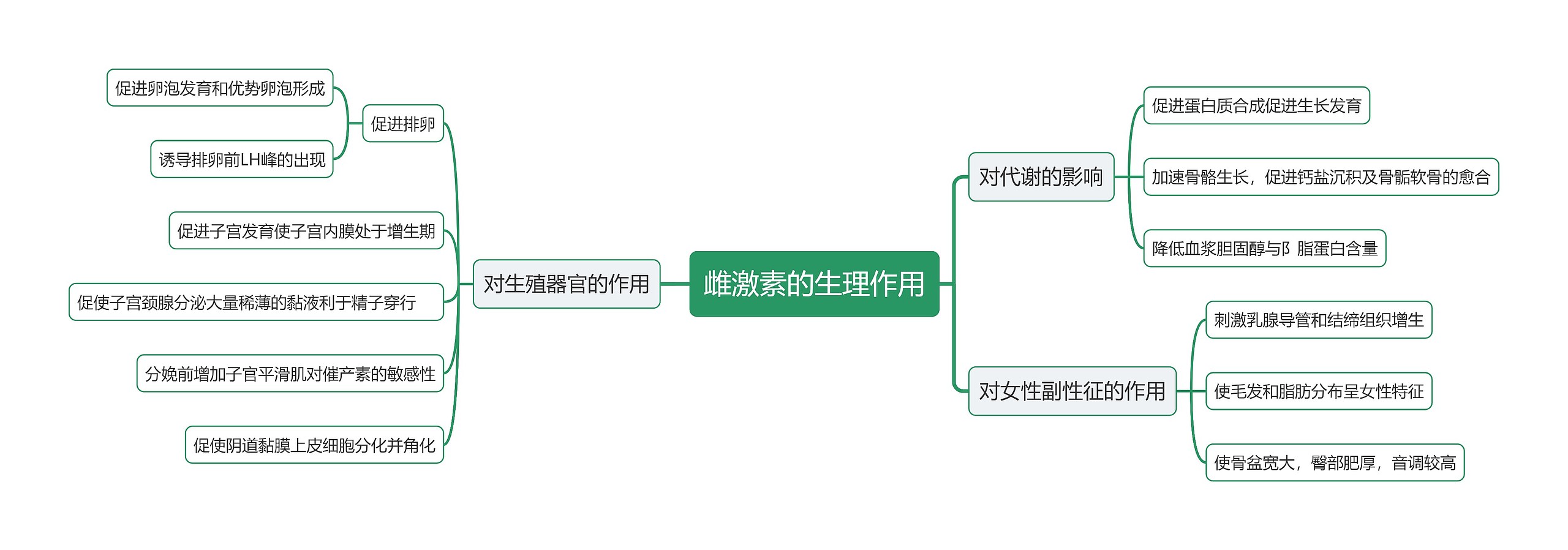 雌激素的生理作用思维导图