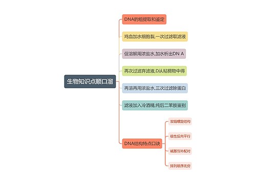 生物知识点顺口溜思维导图