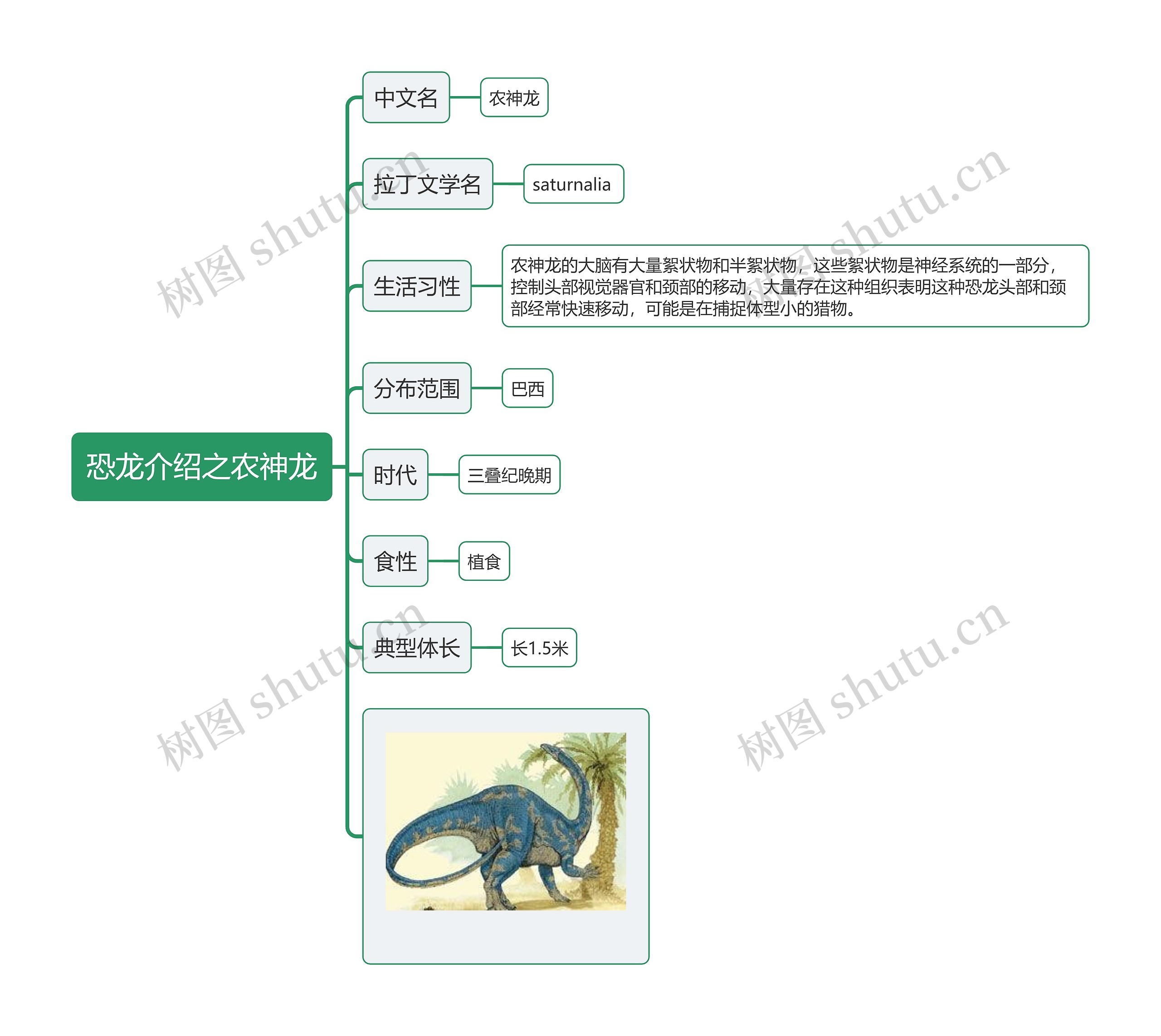 恐龙介绍之农神龙思维导图