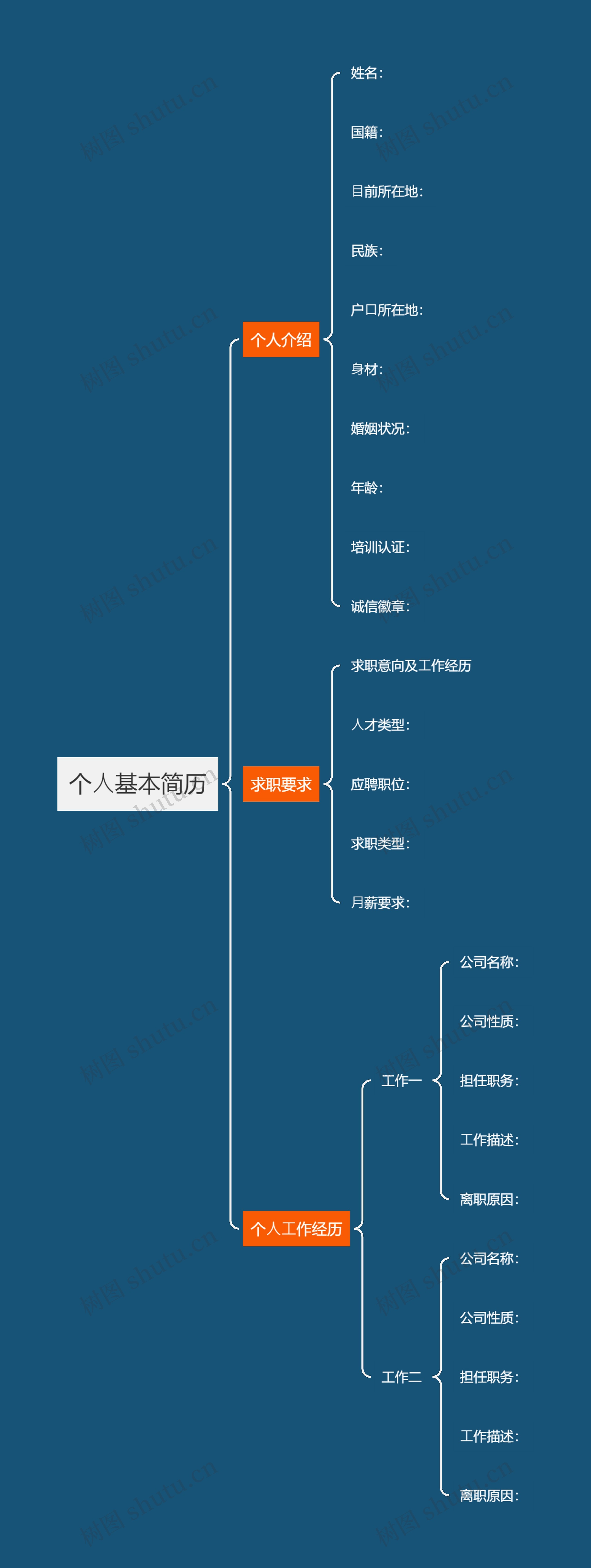 个⼈基本简历思维导图