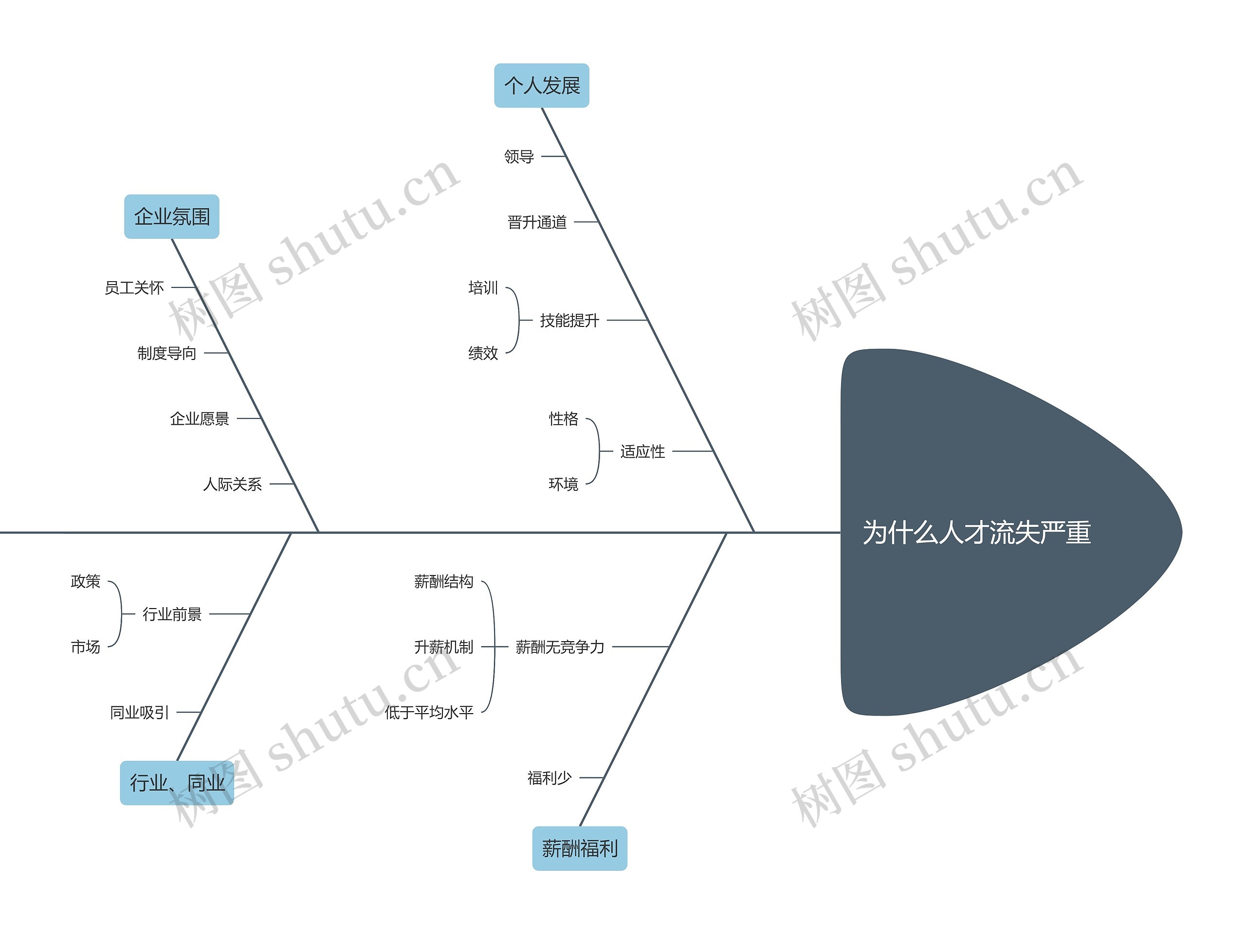 为什么人才流失严重鱼骨图思维导图