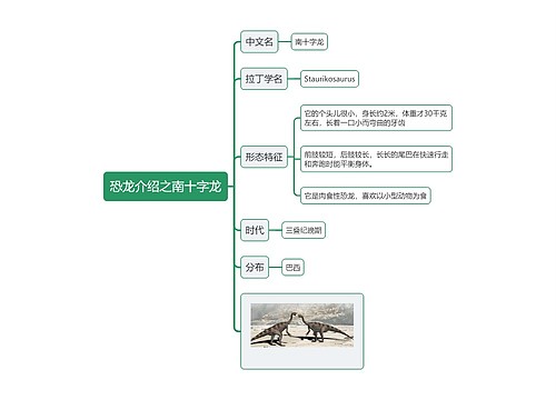 恐龙介绍之南十字龙思维导图