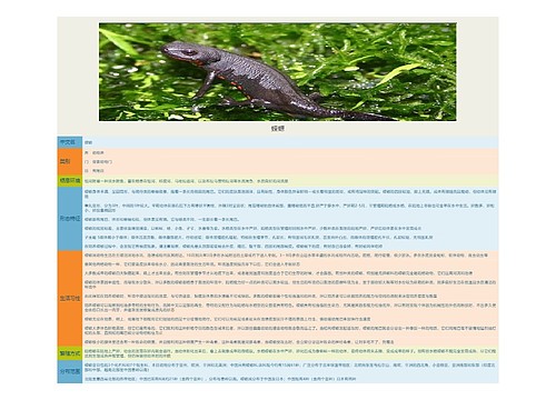 蝾螈思维导图