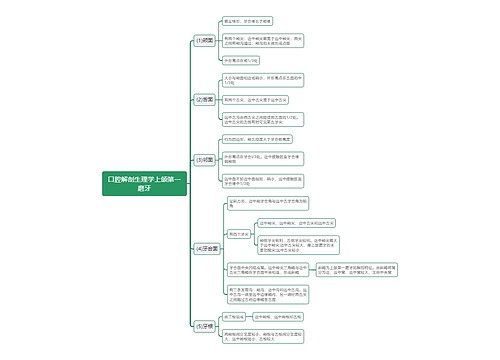 口腔解剖生理学上颌第一磨牙思维导图