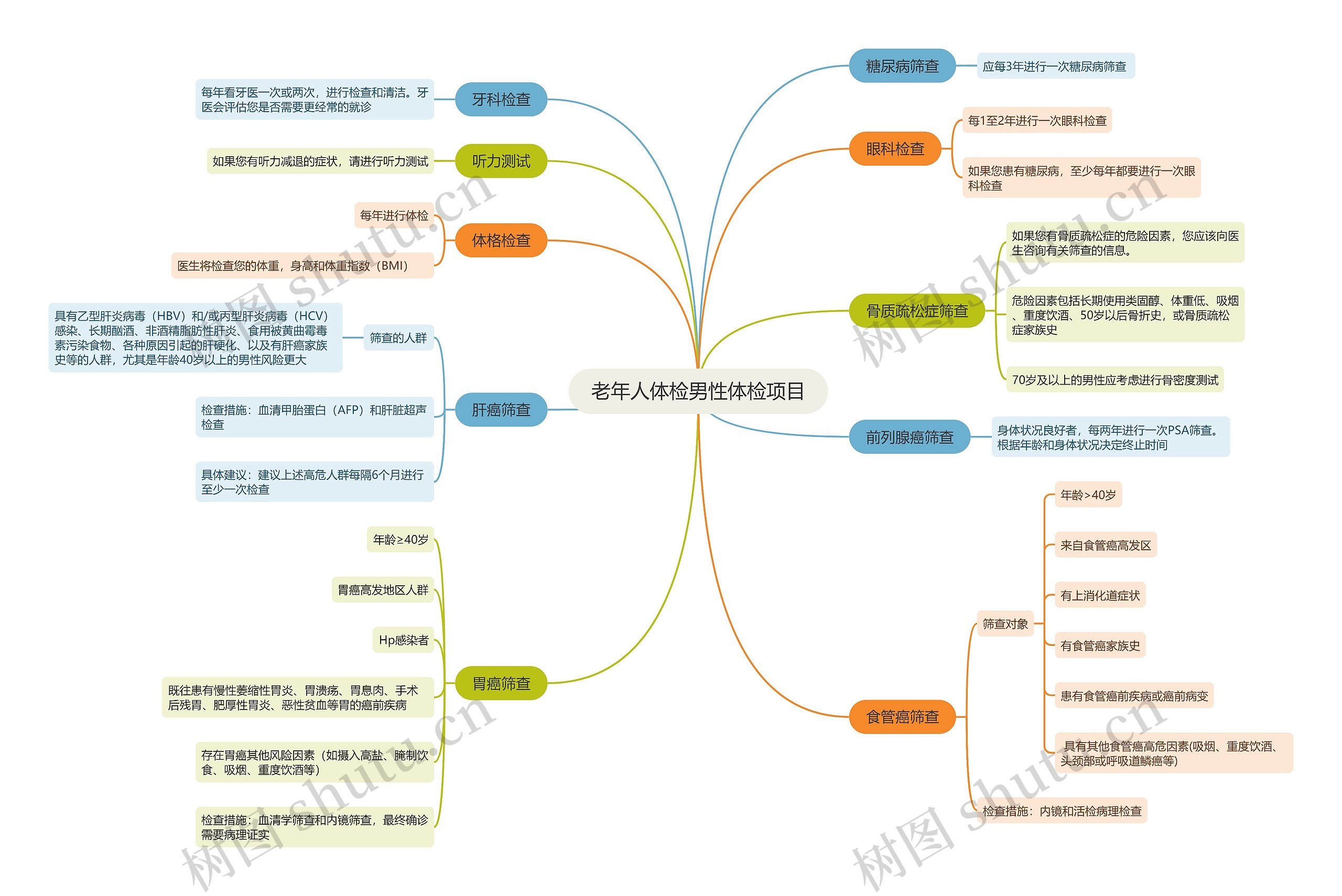 老年人体检男性体检项目思维导图
