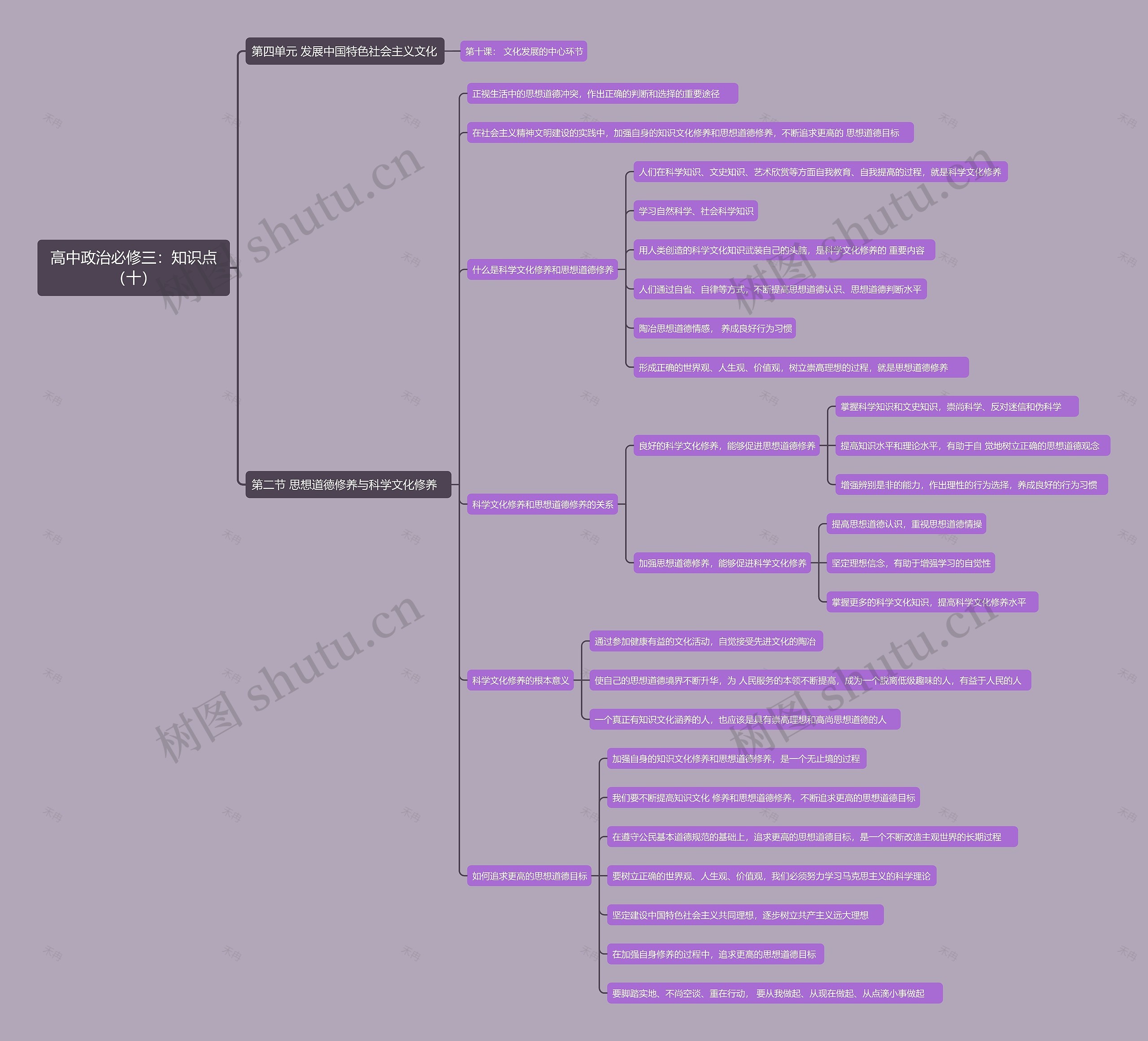高中政治必修三：知识点（十）思维导图