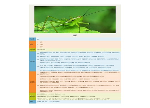 昆虫记昆虫图鉴专辑-4