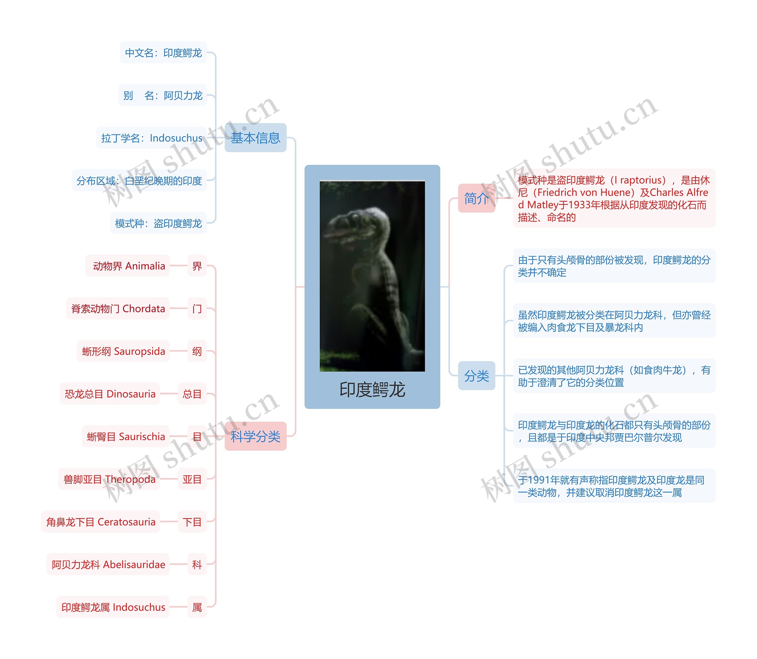 印度鳄龙思维导图