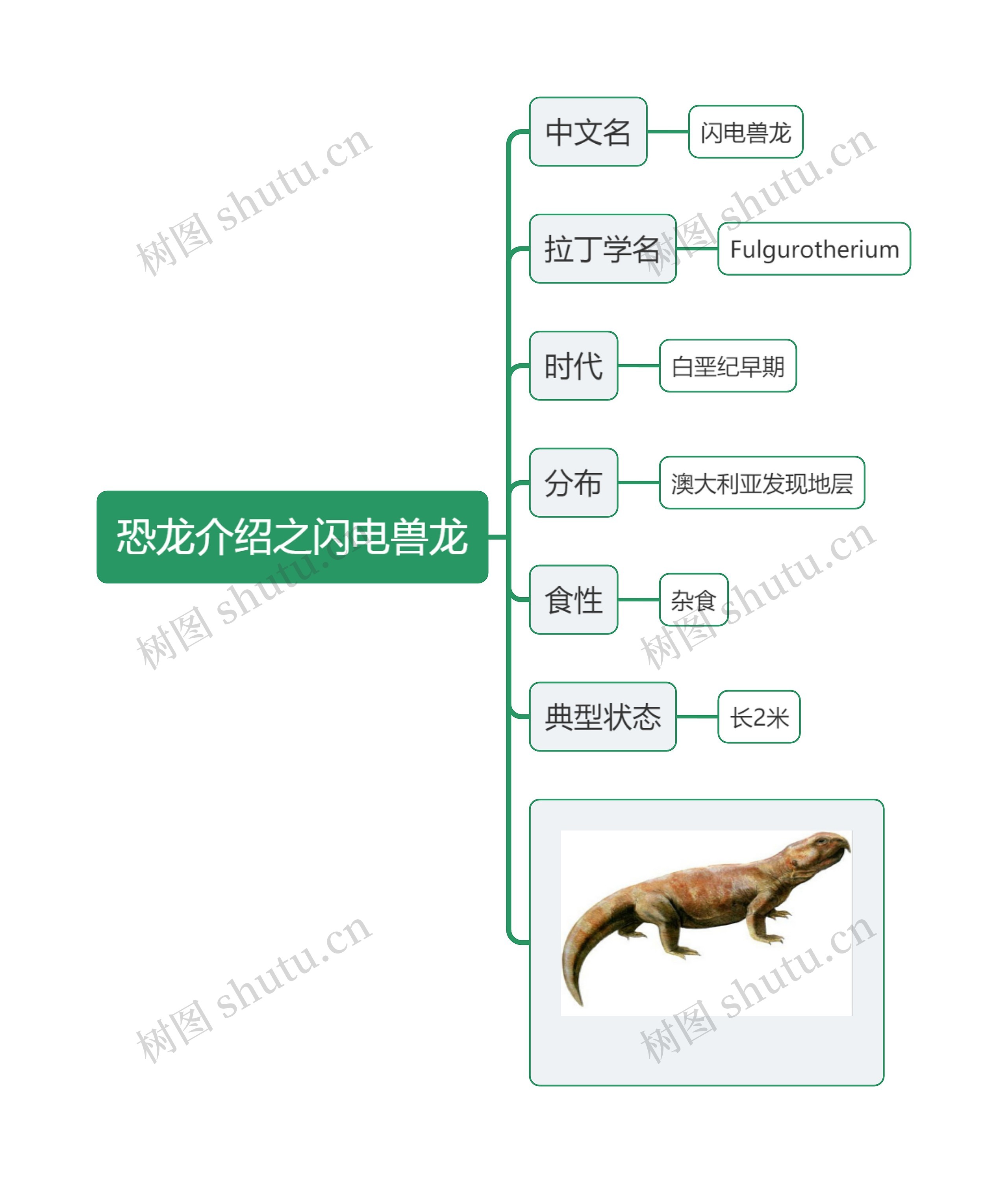 恐龙介绍之闪电兽龙思维导图