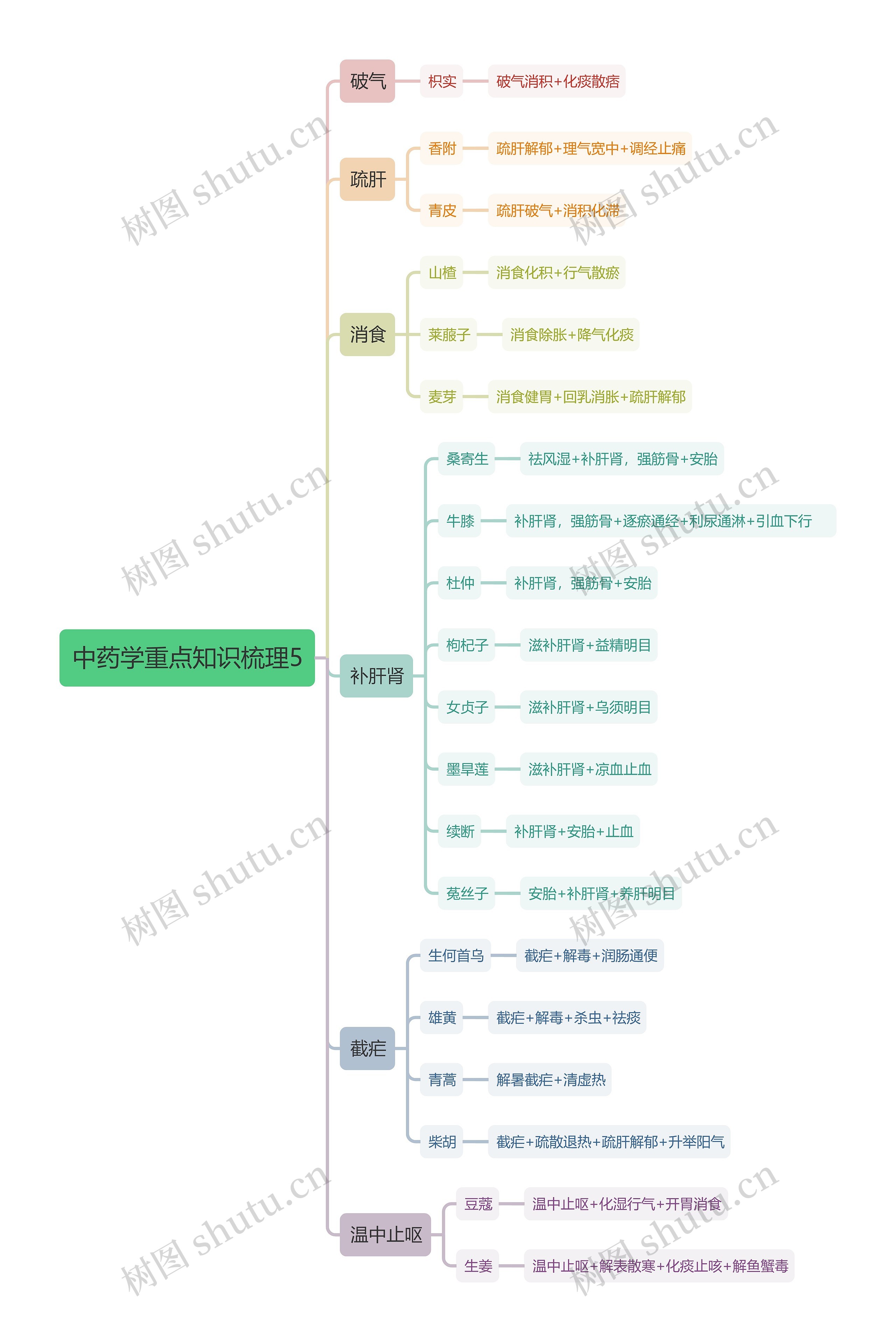 中药学重点知识梳理5思维导图