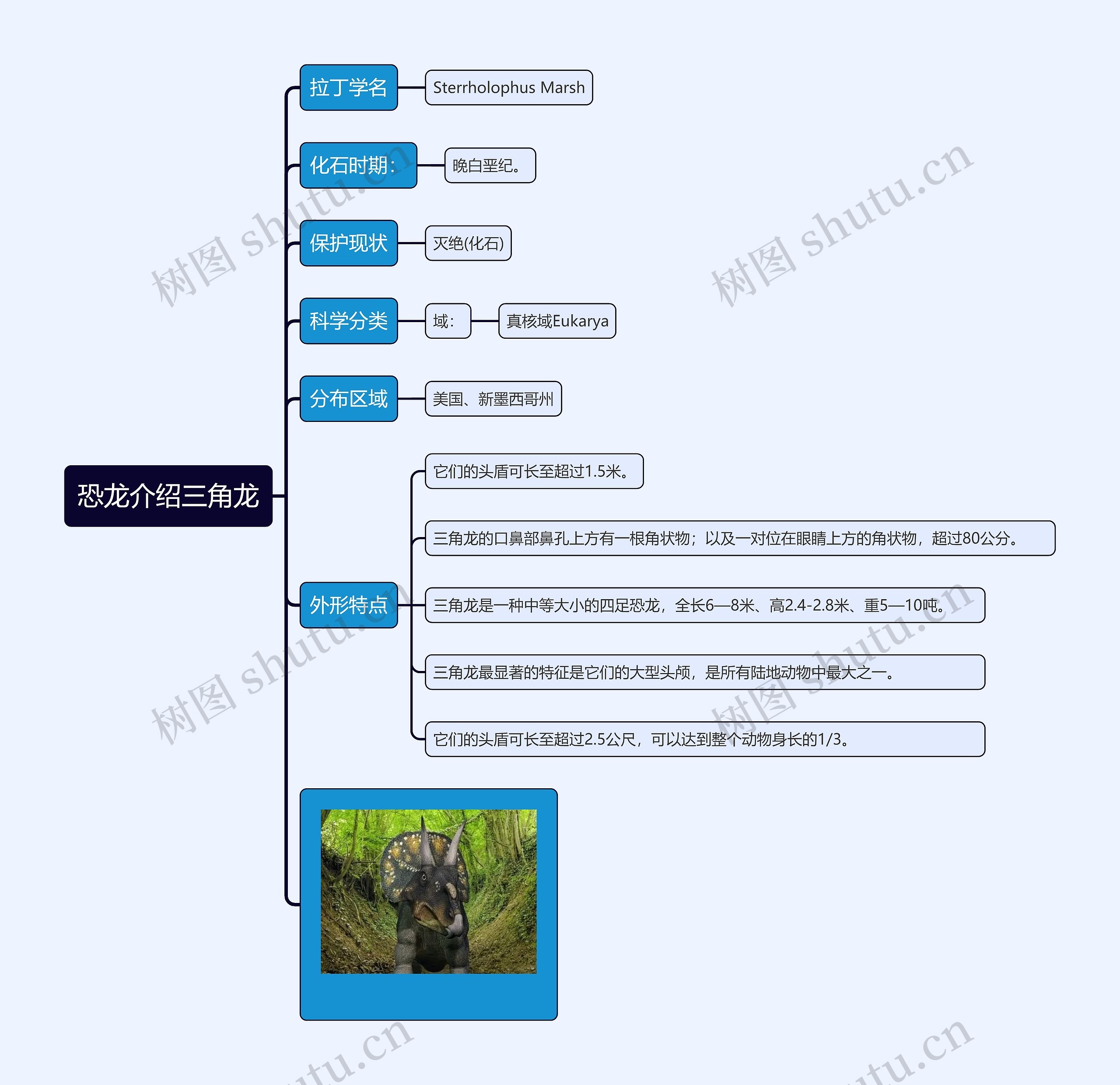 恐龙介绍三角龙