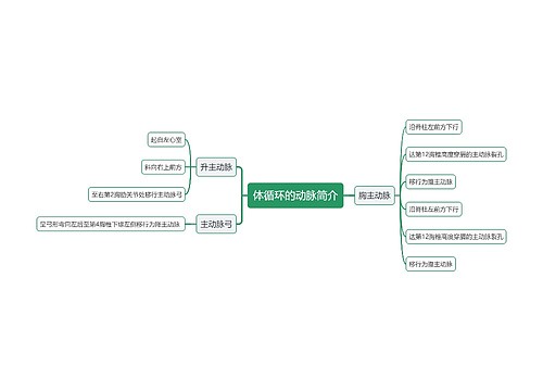 体循环的动脉简介思维导图