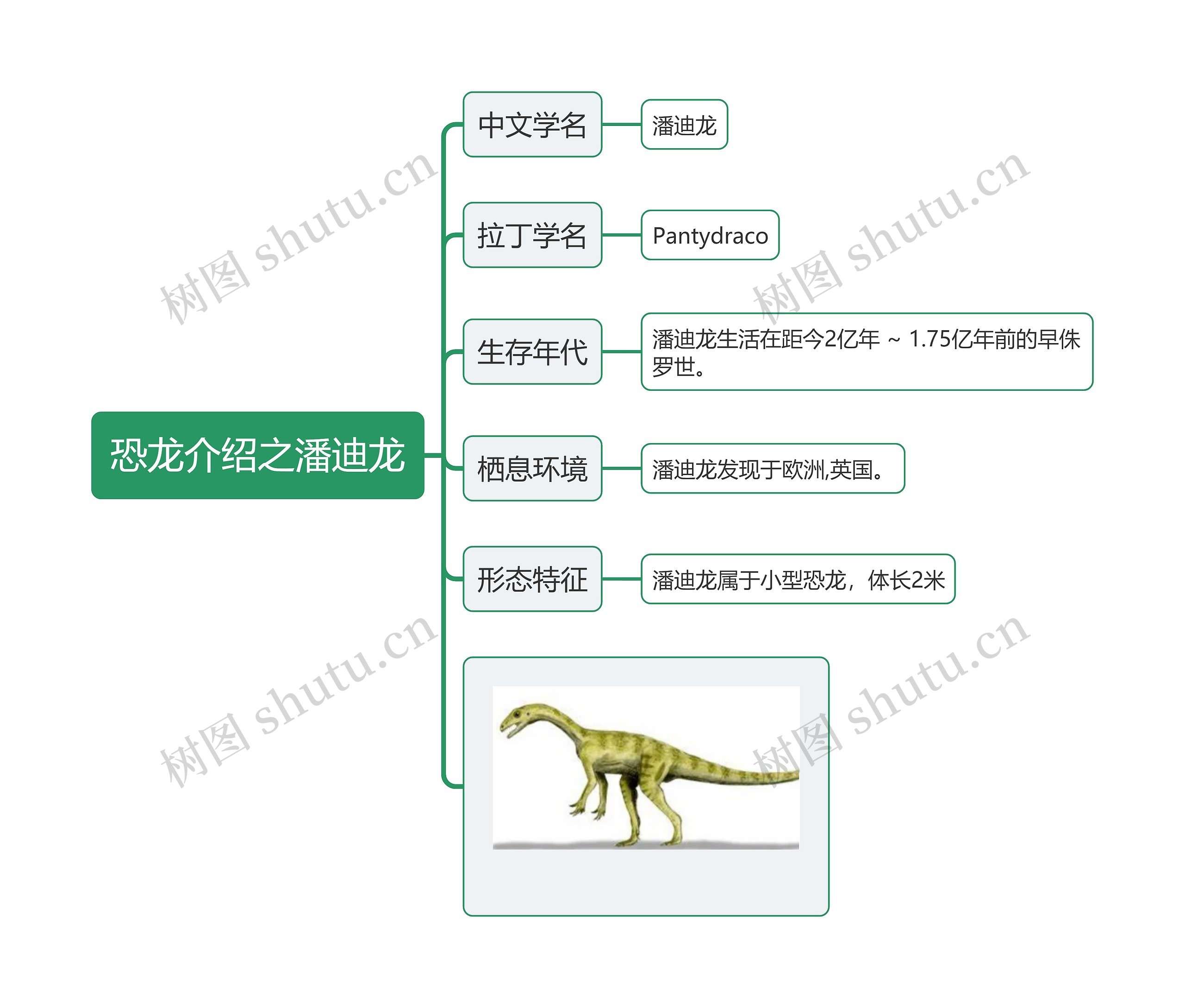 恐龙介绍之潘迪龙思维导图