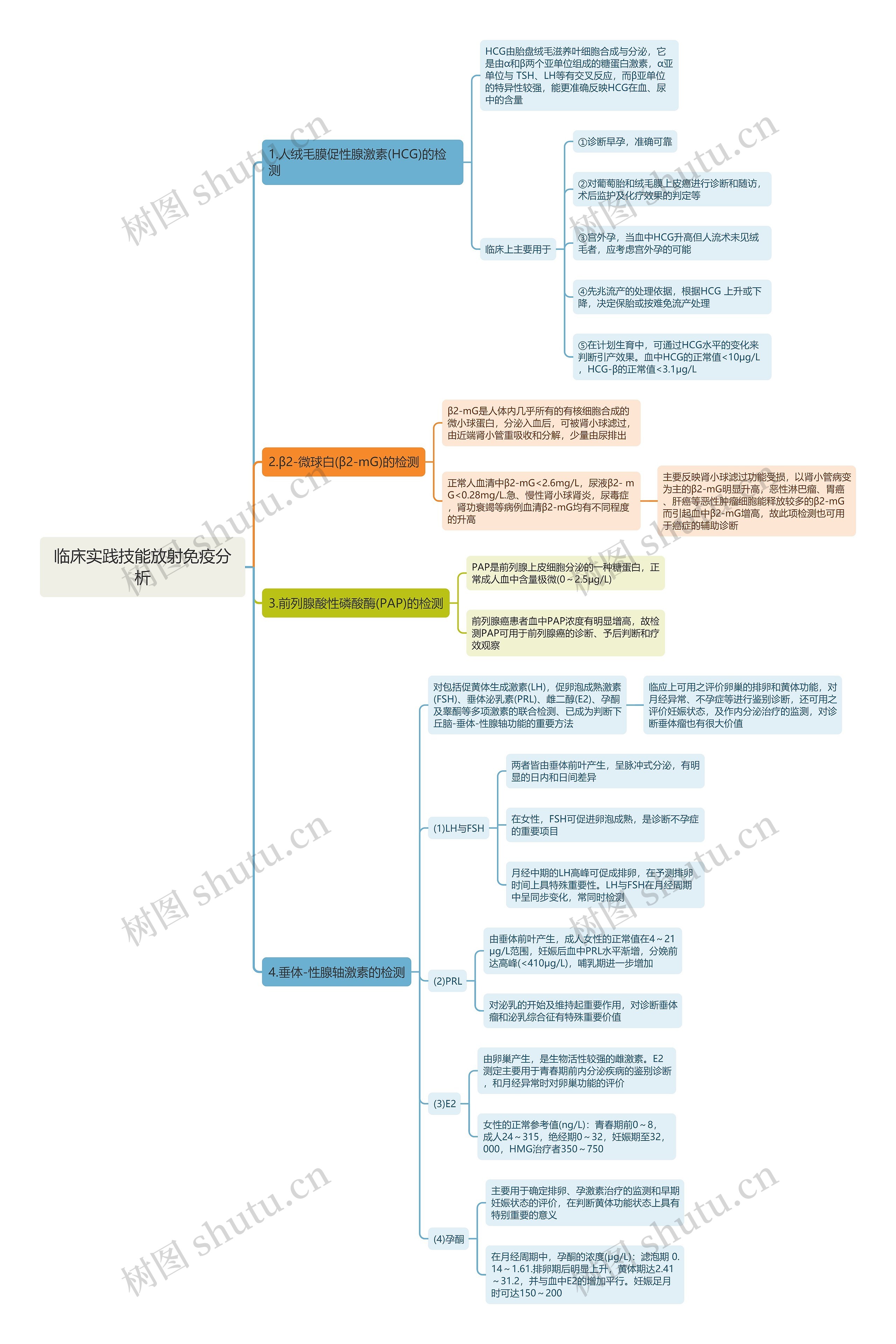 临床实践技能放射免疫分析思维导图