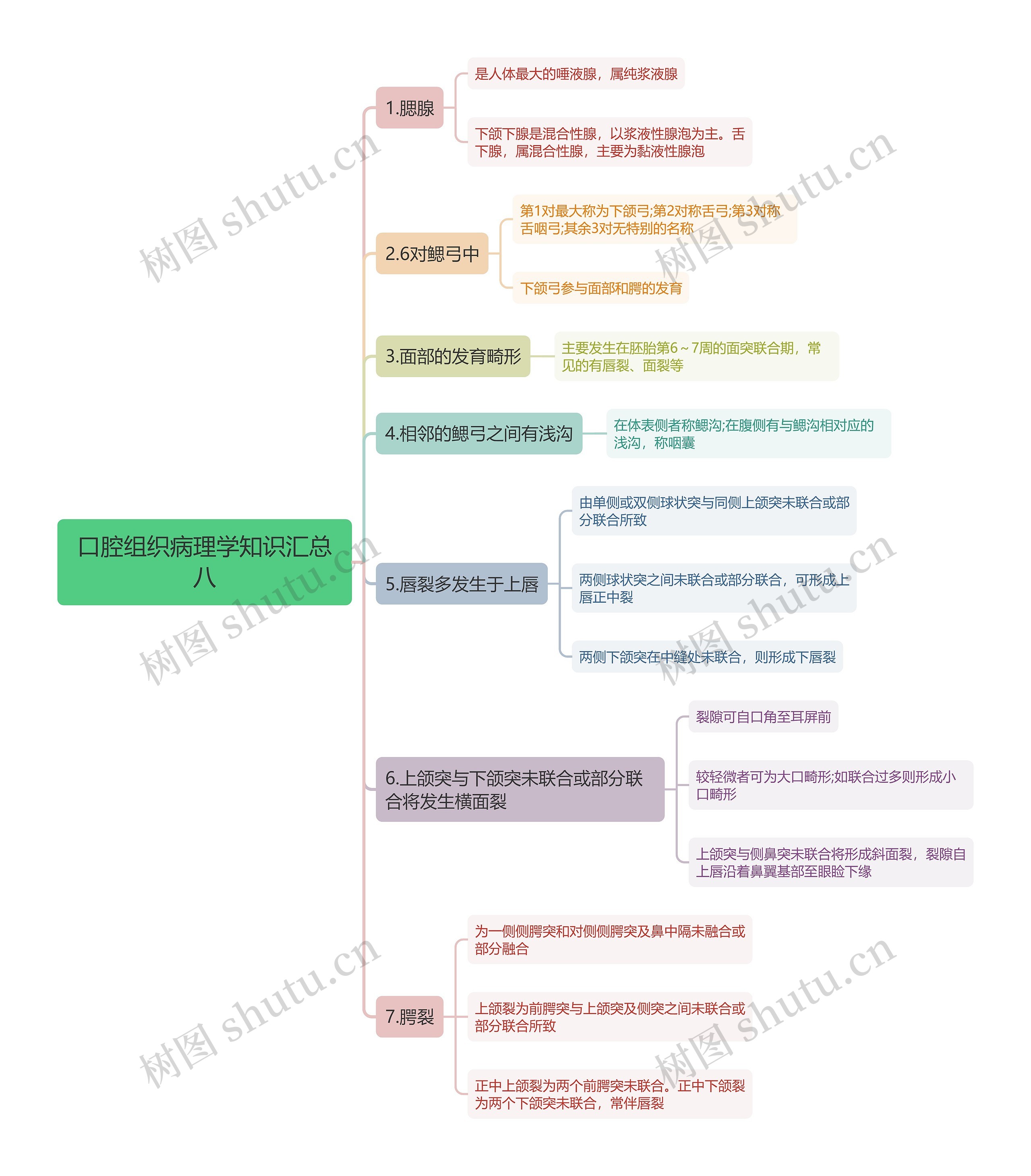 口腔组织病理学知识汇总八思维导图