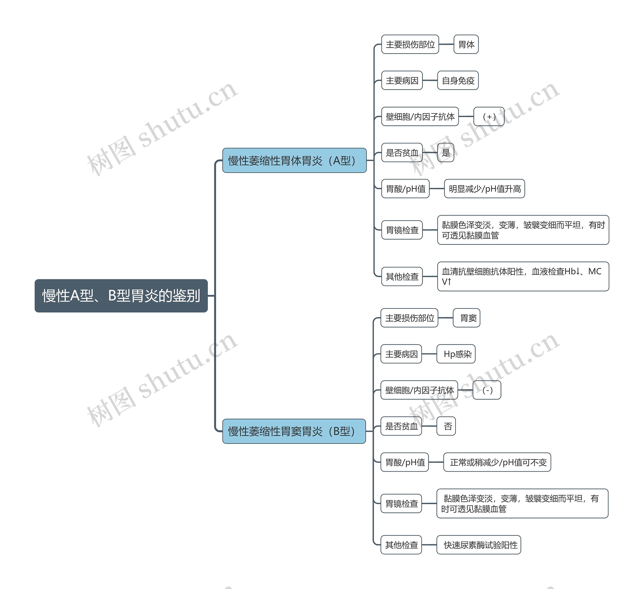 慢性A型、B型胃炎的鉴别思维导图