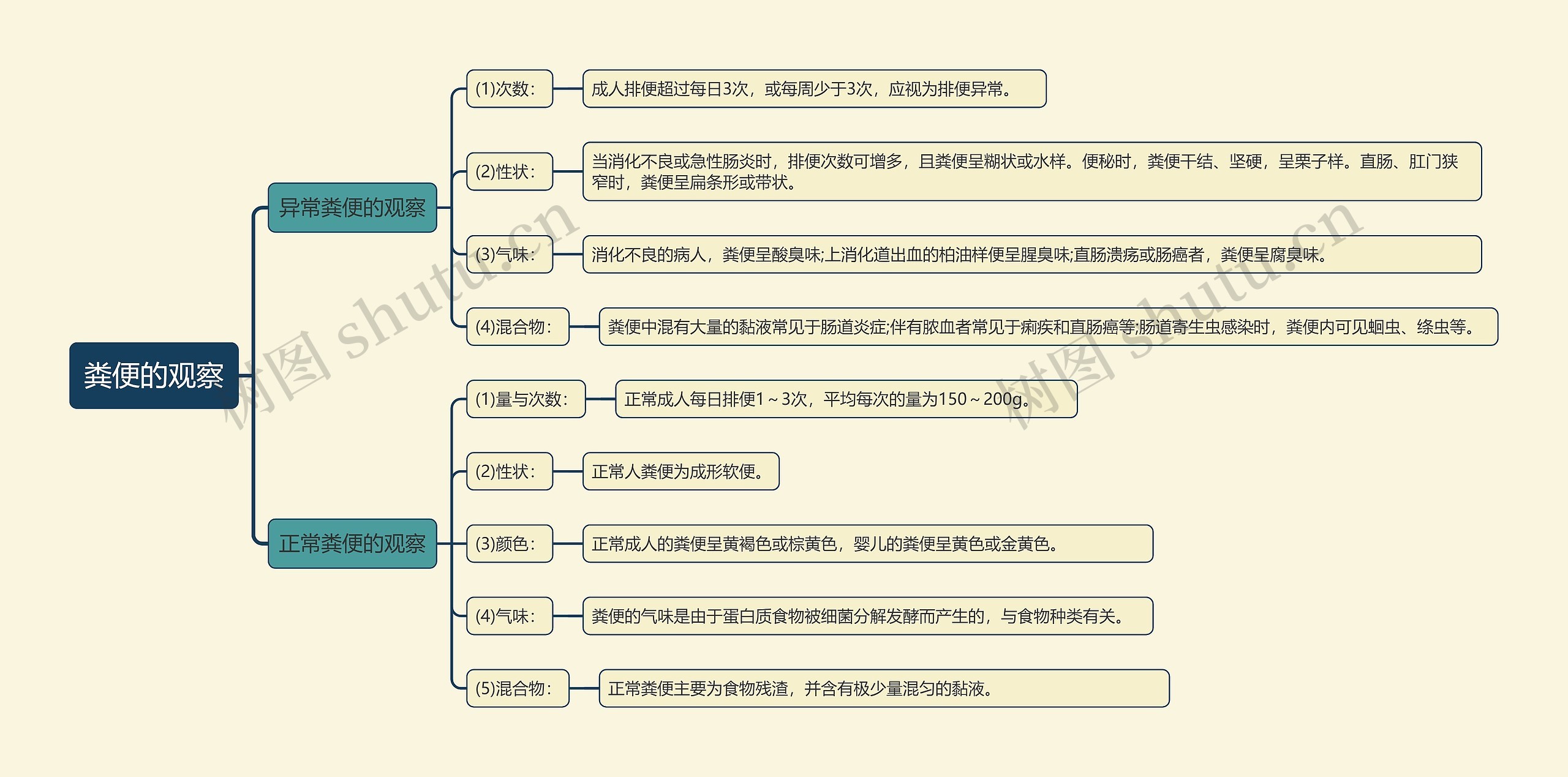 粪便的观察知识点思维导图高清图 粪便的观察知识点思维导图