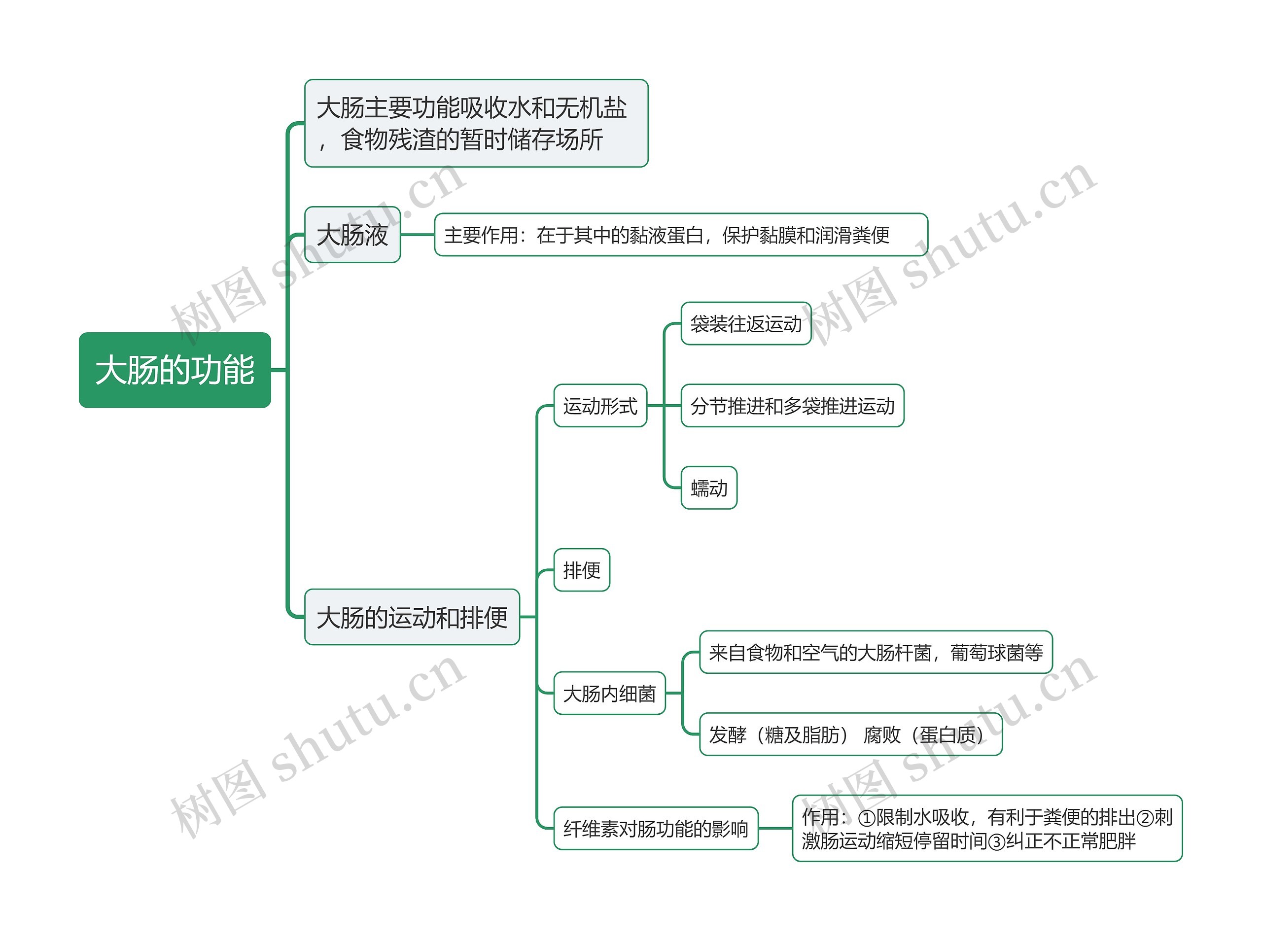 大肠的功能思维导图高清图 大肠的功能思维导图