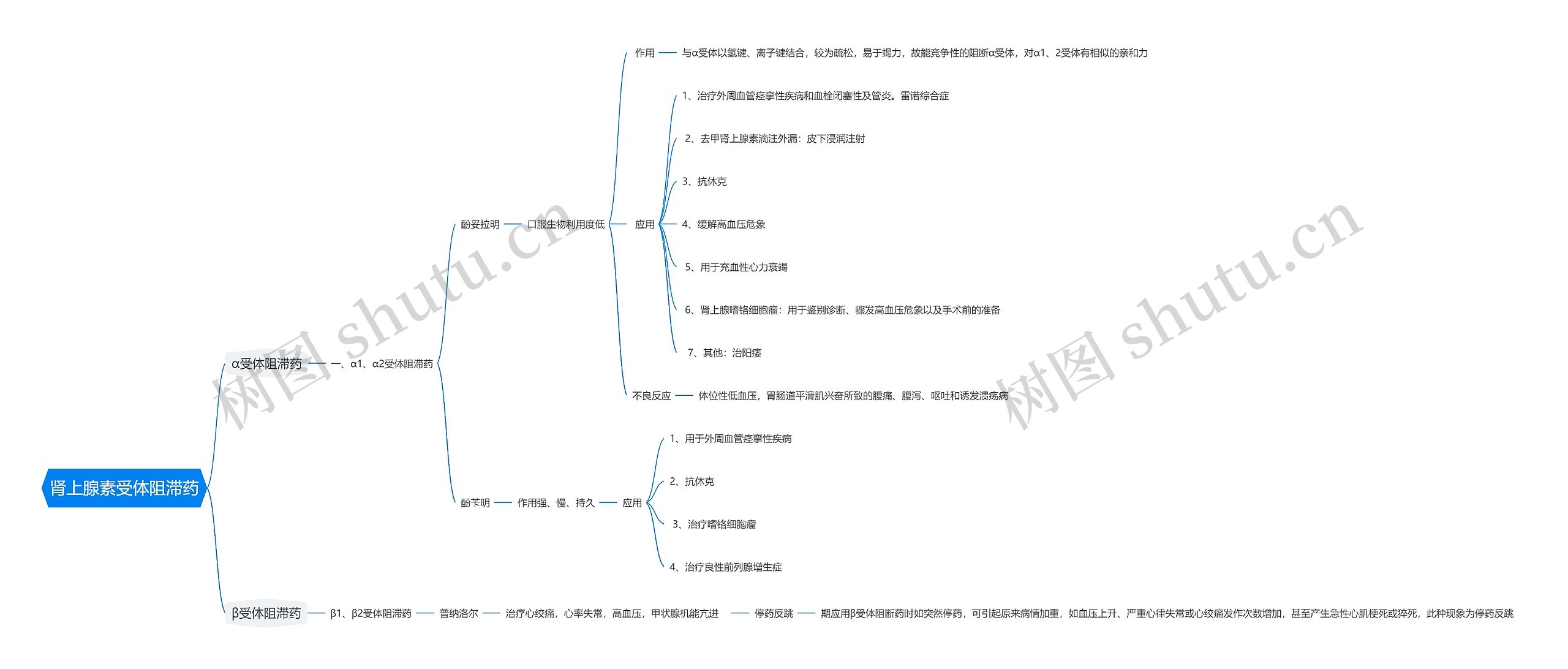 肾上腺素受体阻滞药思维导图