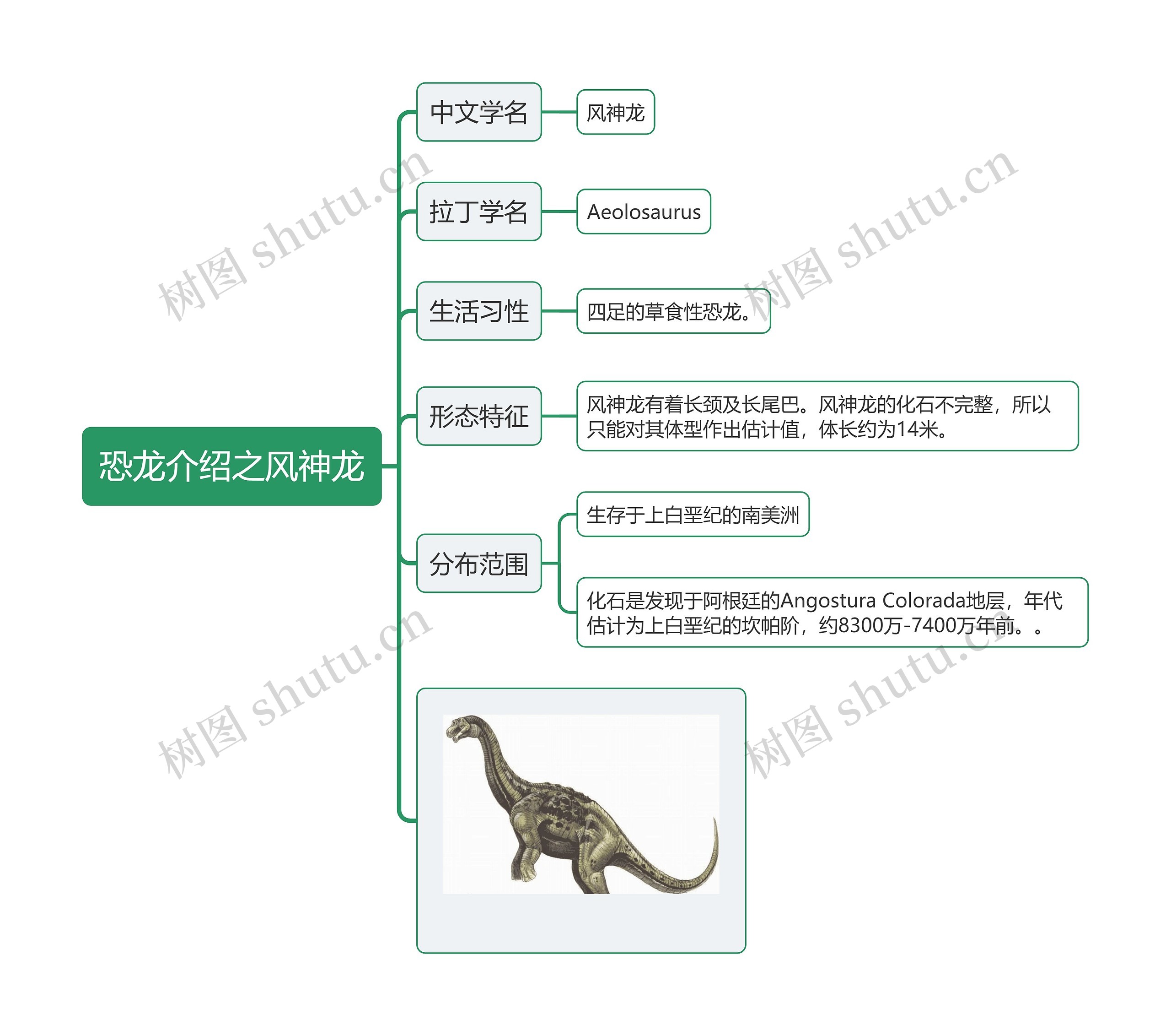 恐龙介绍之风神龙思维导图