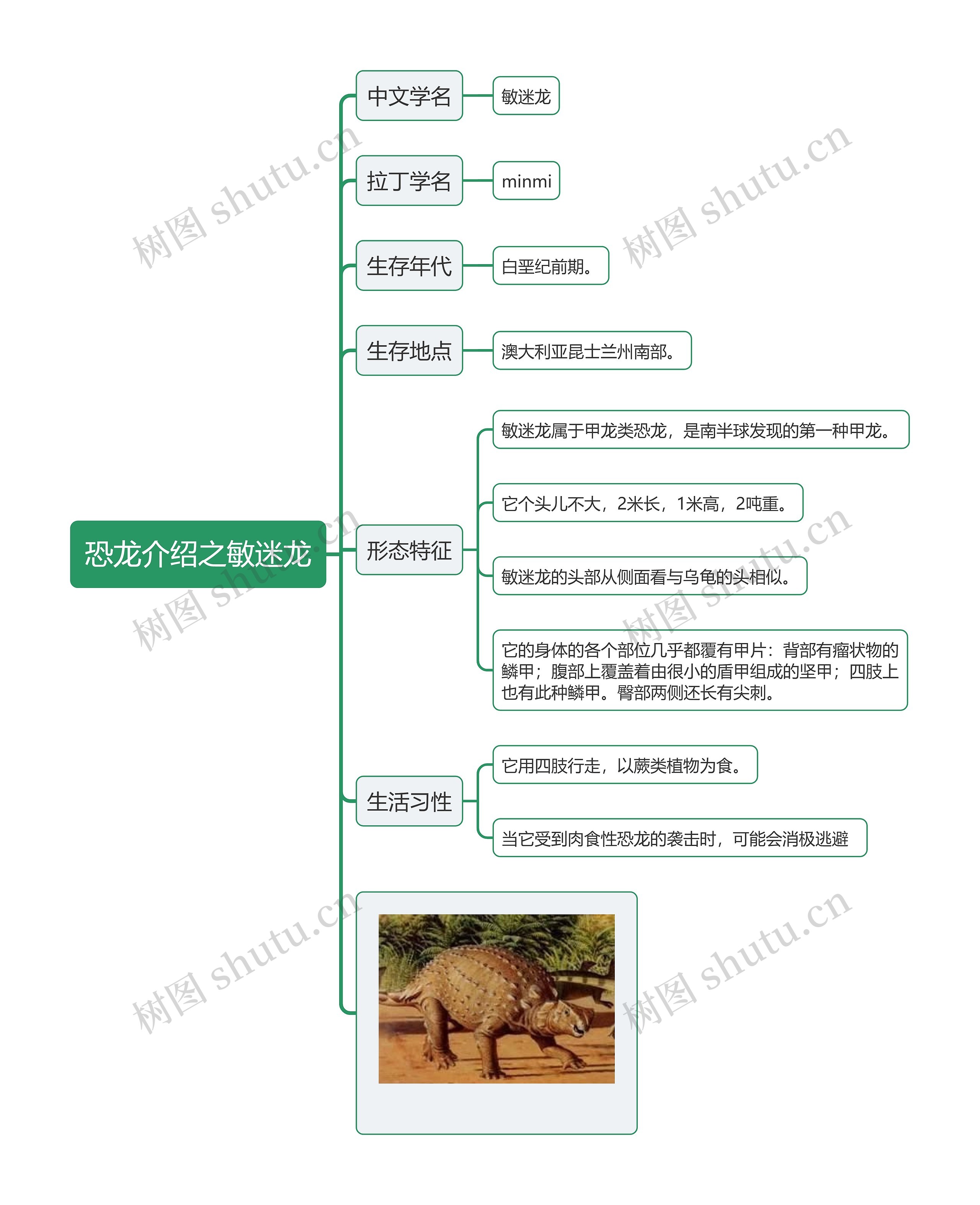 恐龙介绍之敏迷龙思维导图