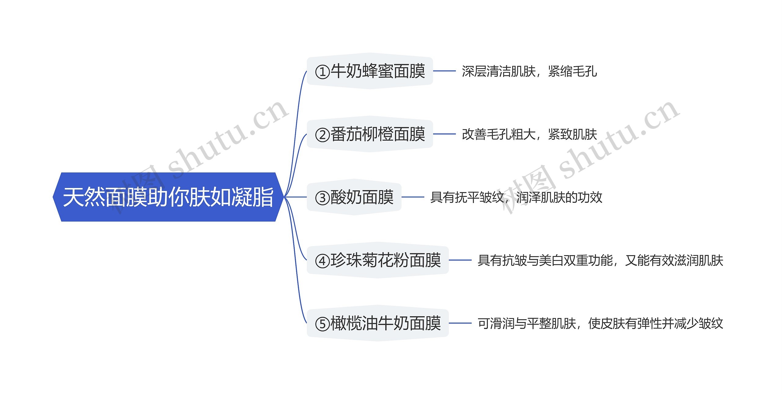 天然面膜助你肤如凝脂思维导图