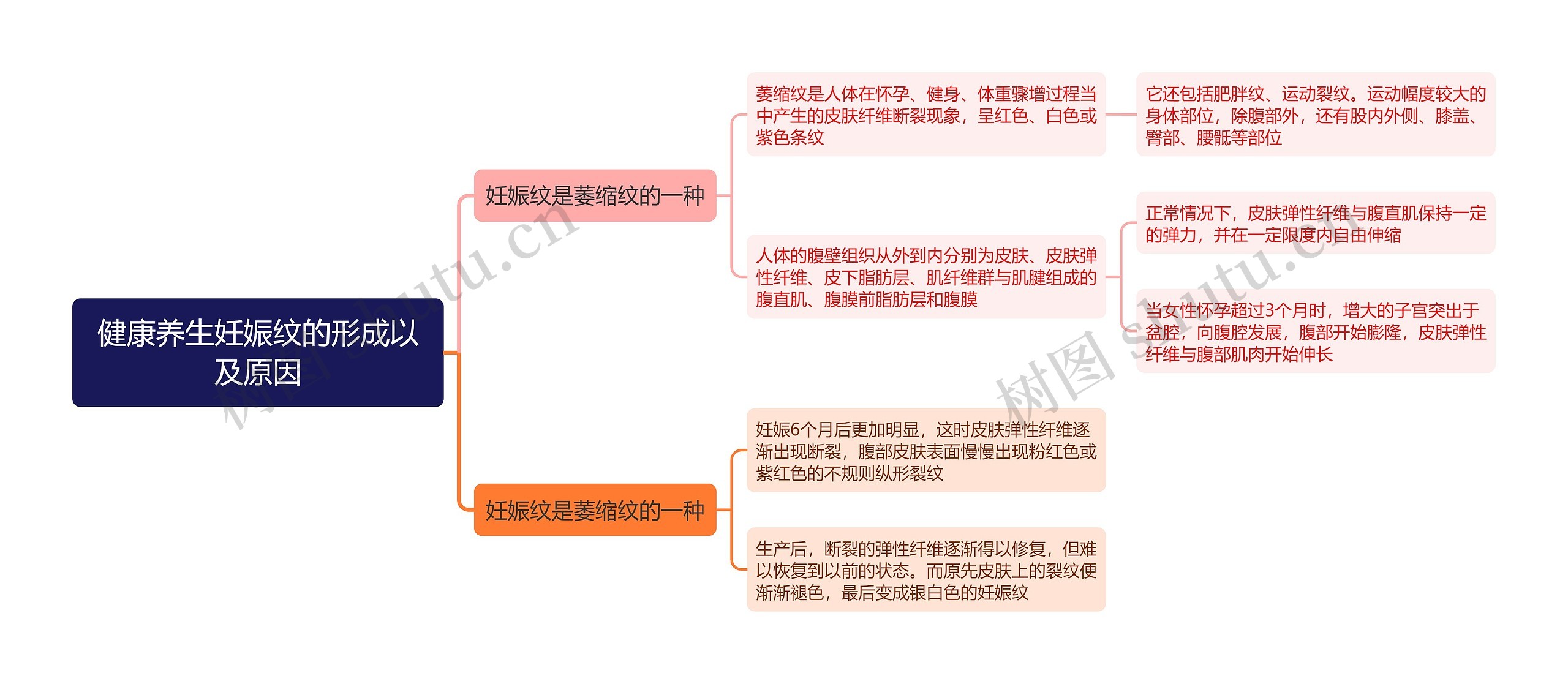 健康养生妊娠纹的形成以及原因思维导图