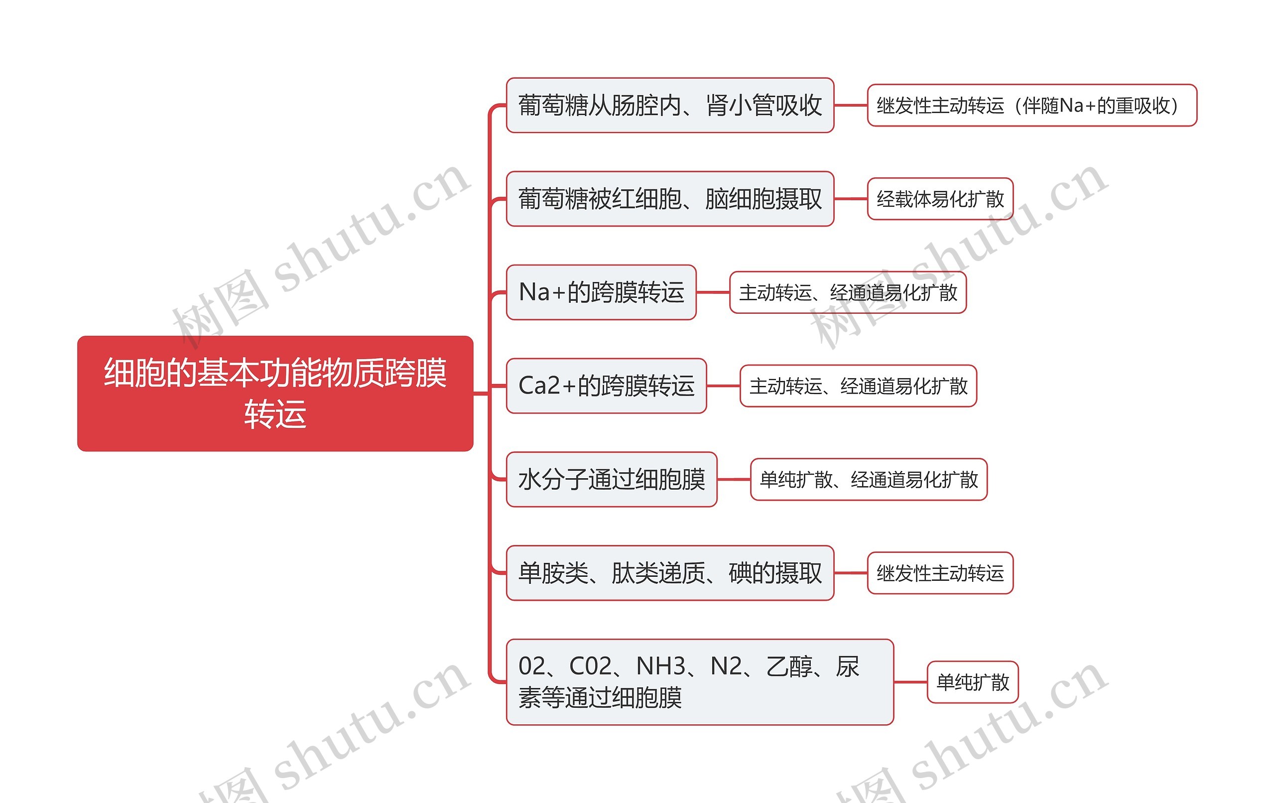 细胞的基本功能物质跨膜转运思维导图