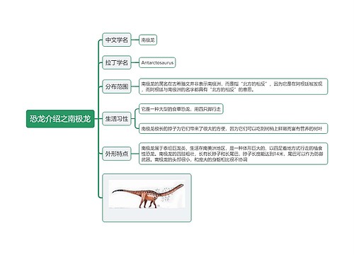 恐龙介绍之南极龙思维导图