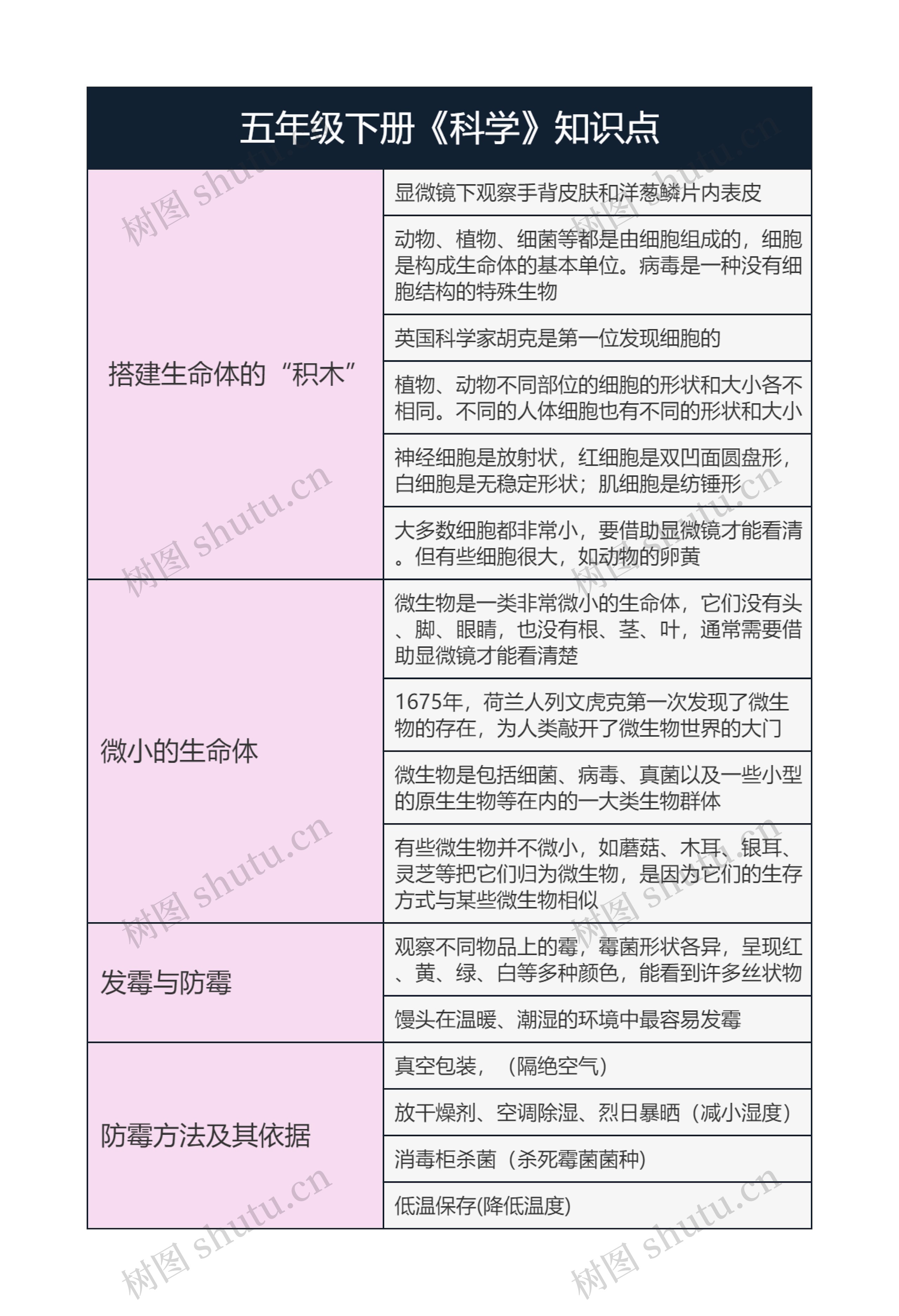 五年级下册《科学》知识点1思维导图