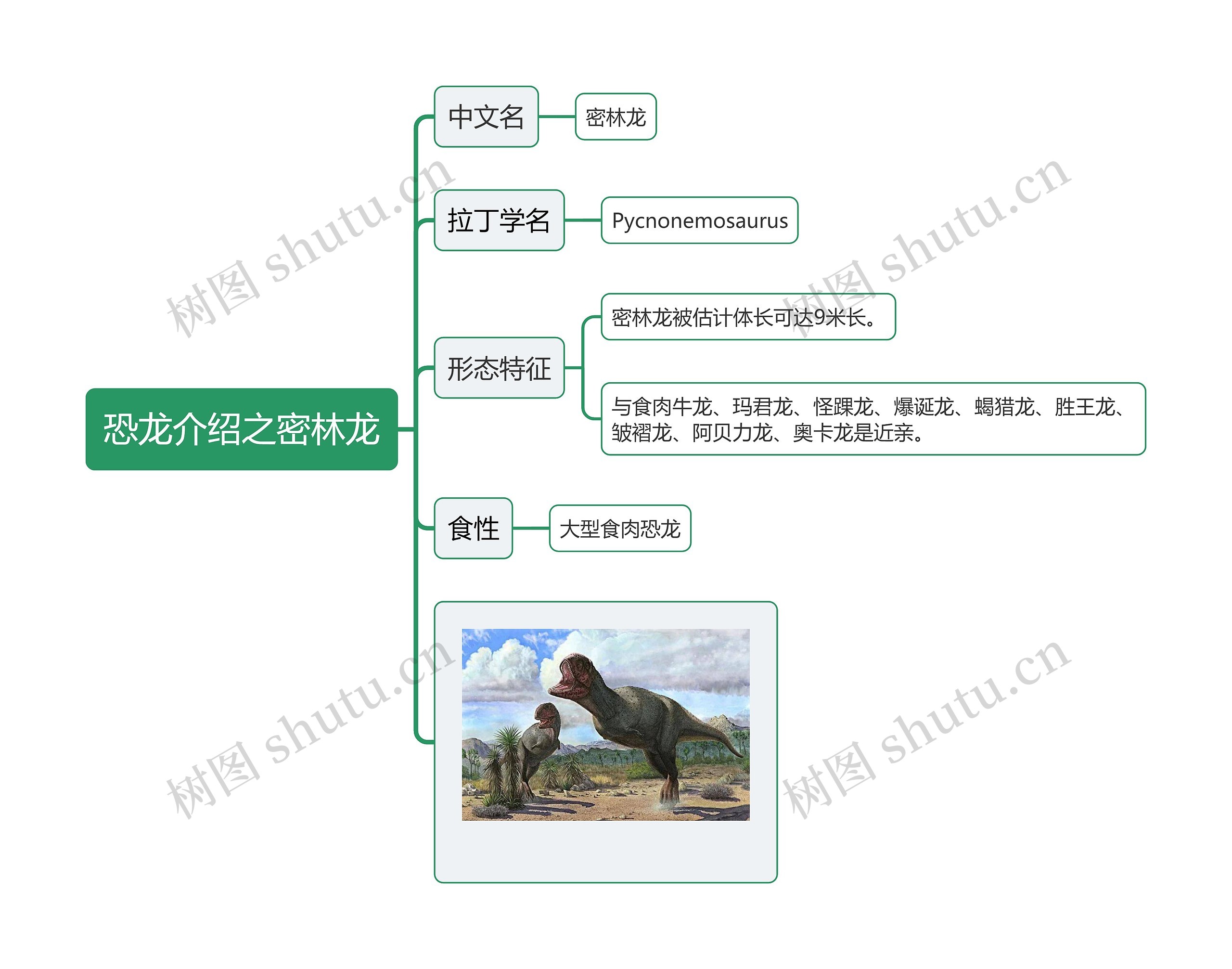 恐龙介绍之密林龙思维导图