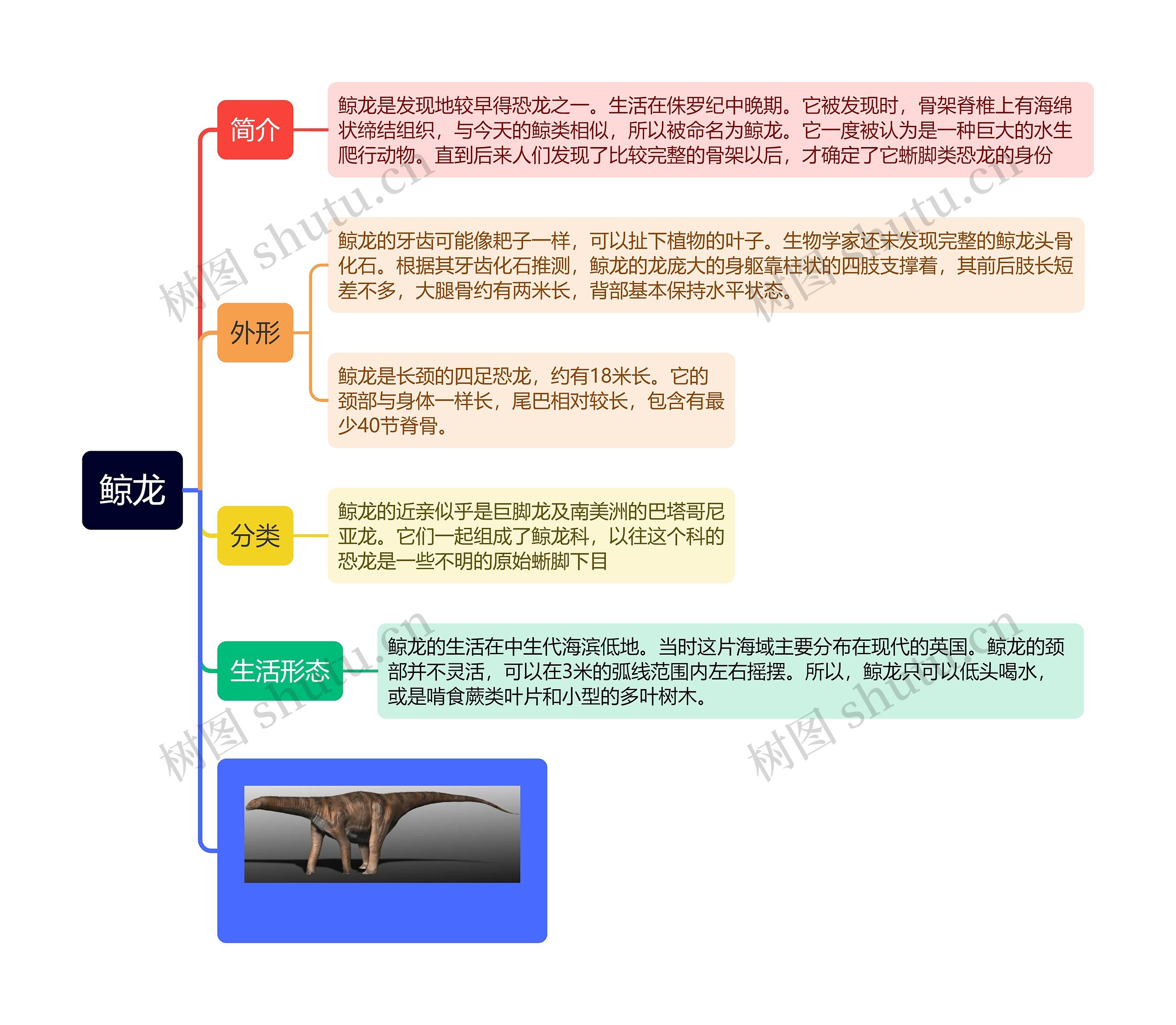 鲸龙思维导图