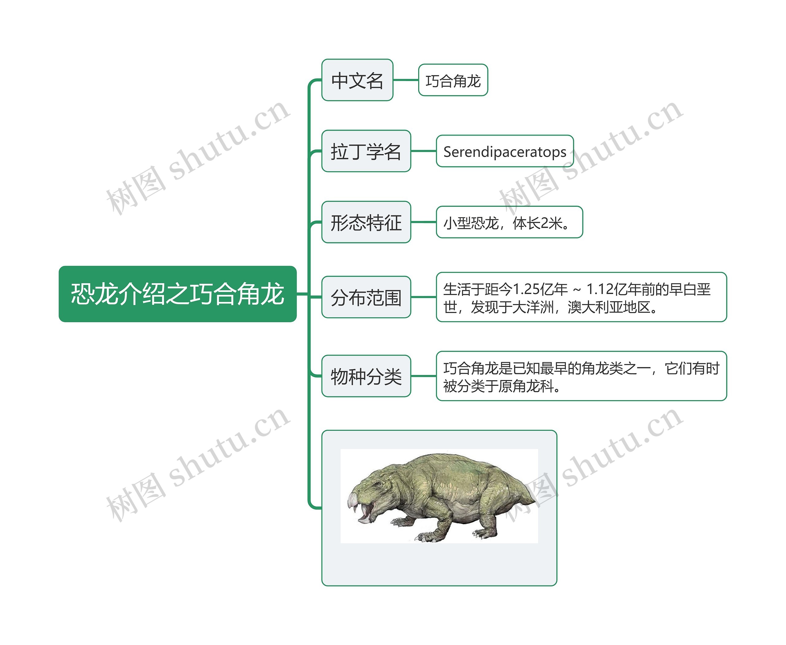 恐龙介绍之巧合角龙思维导图