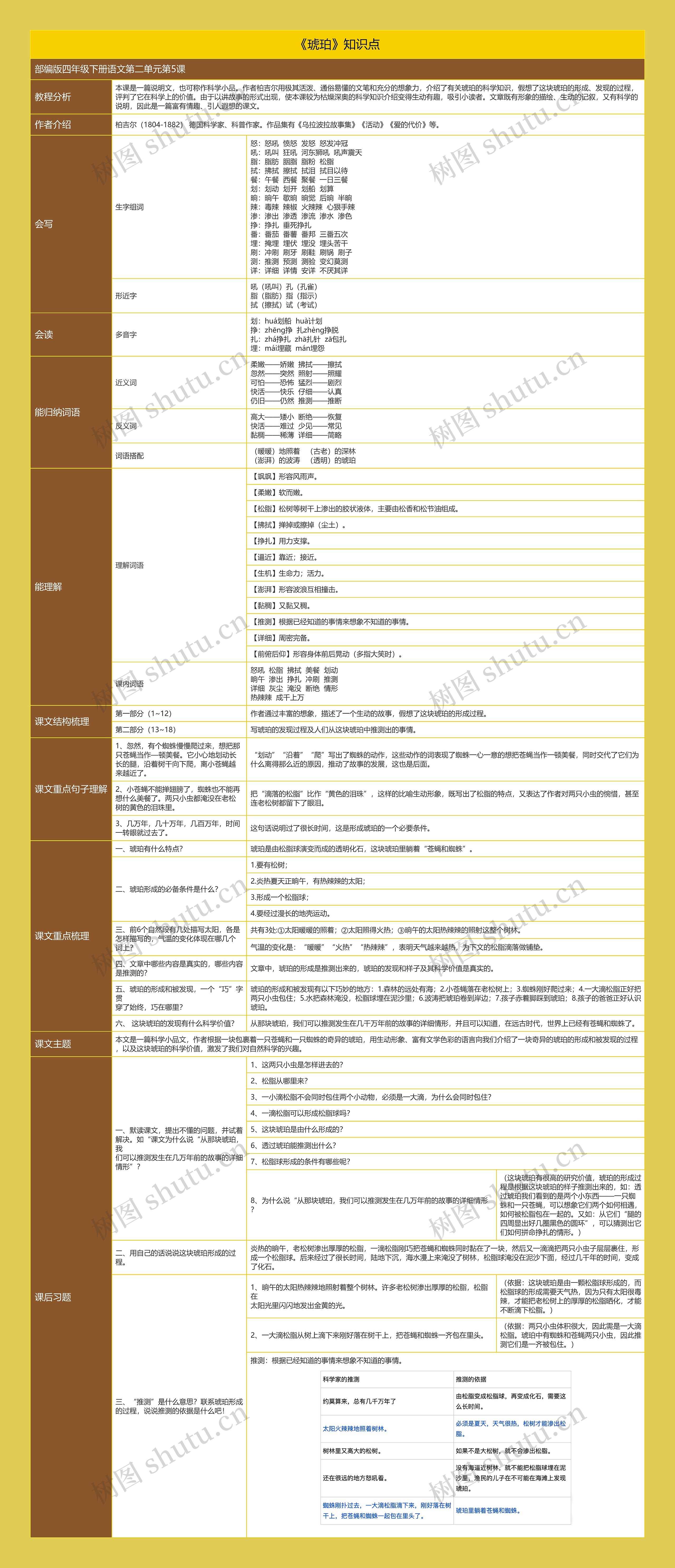 《琥珀》思维导图