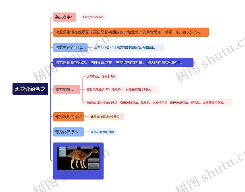 恐龙介绍弯龙思维导图_编号t3169033-TreeMind树图
