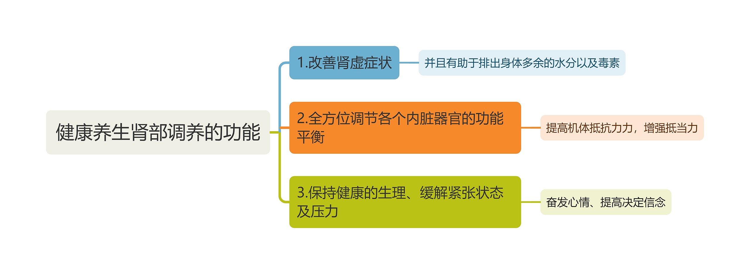 健康养生肾部调养的功能思维导图