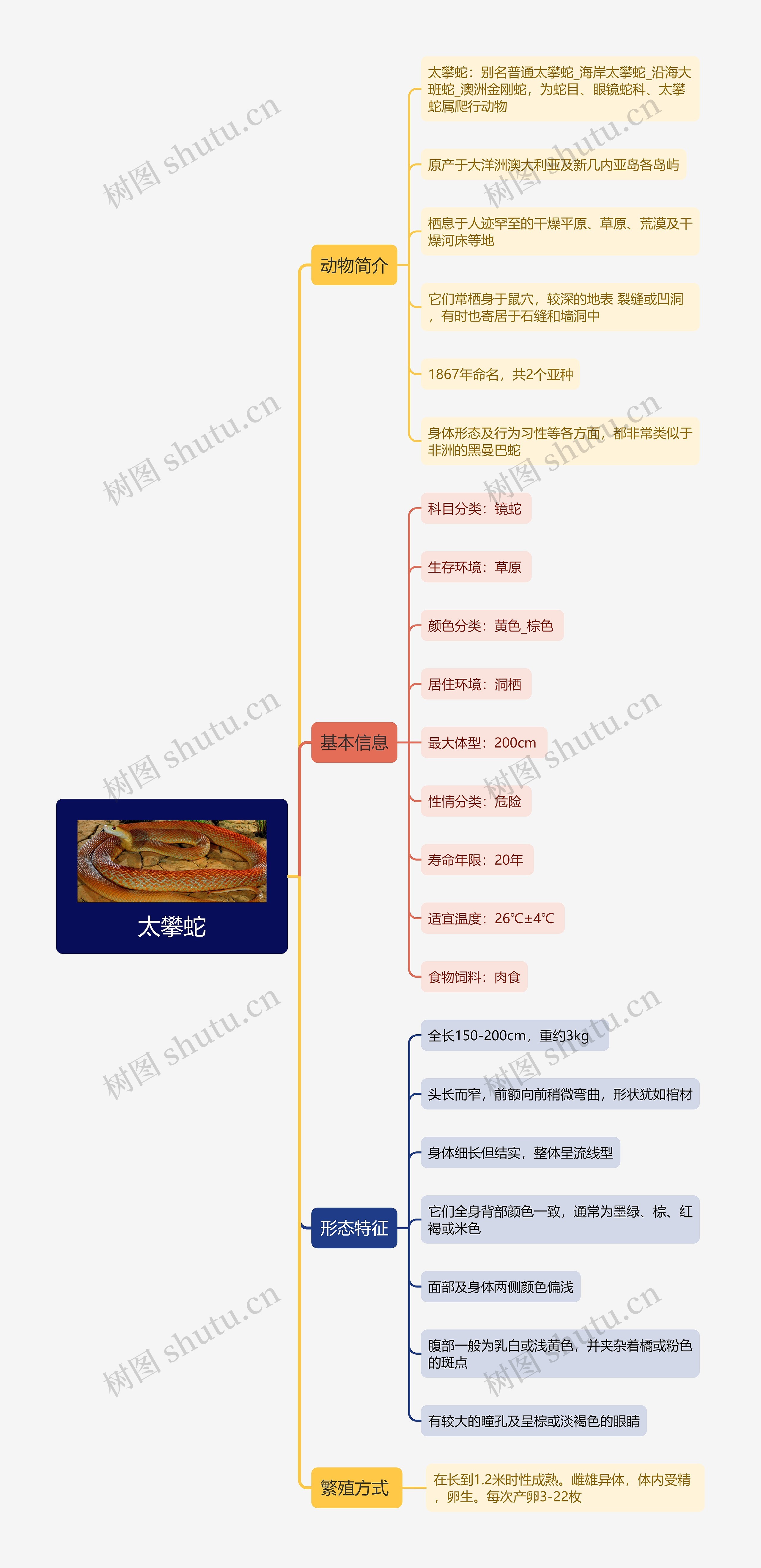 太攀蛇思维导图