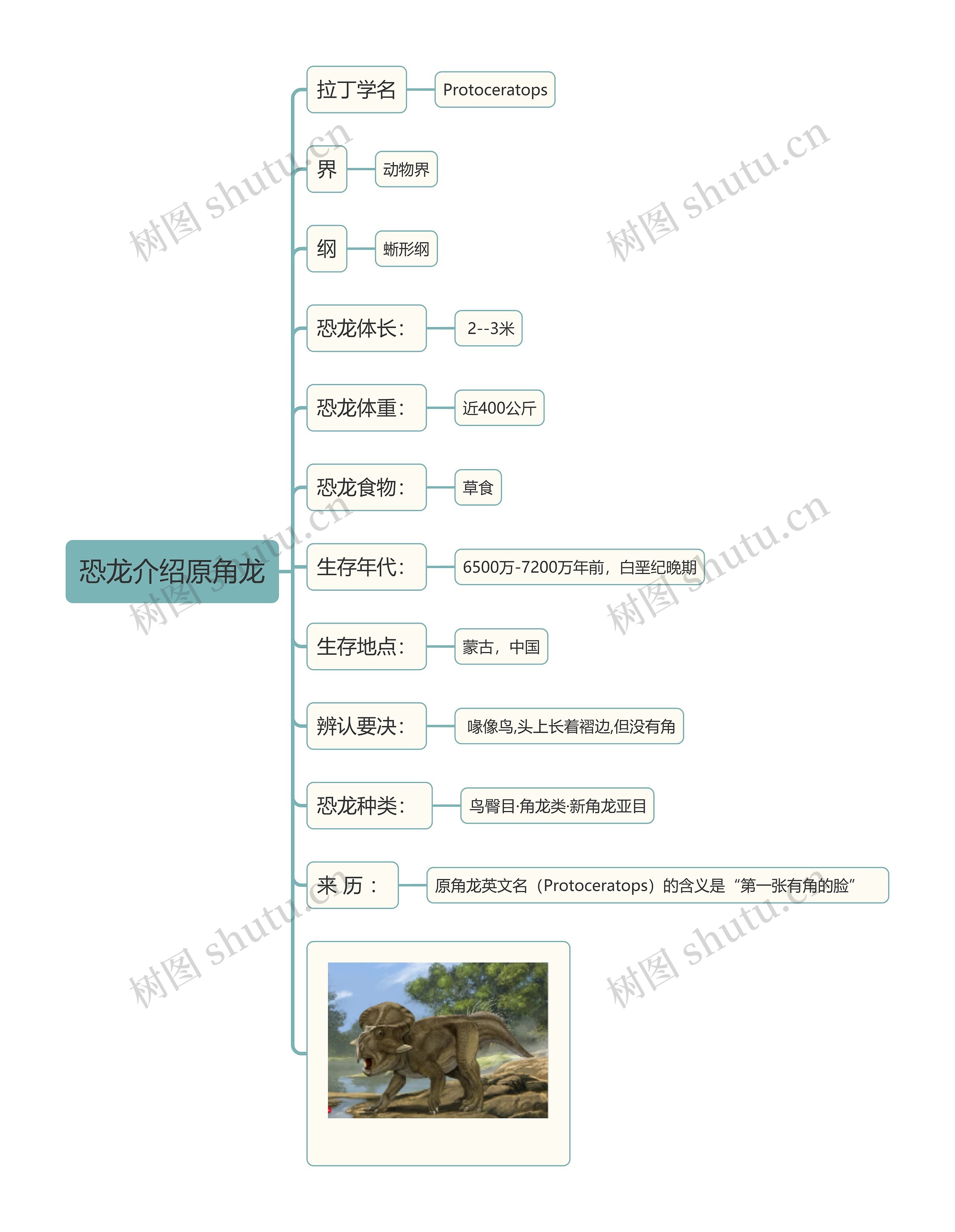 恐龙介绍原角龙思维导图