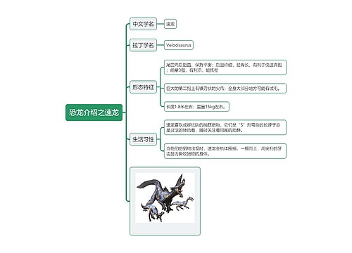 恐龙介绍之速龙思维导图