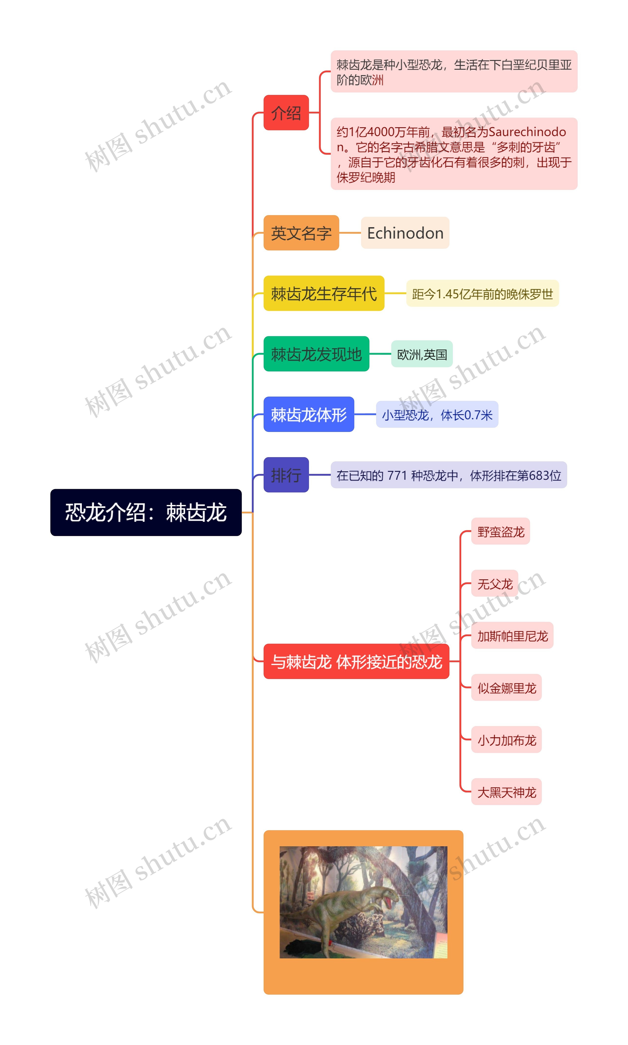 恐龙介绍：棘齿龙