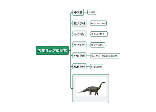 恐龙介绍之似鲸龙思维导图