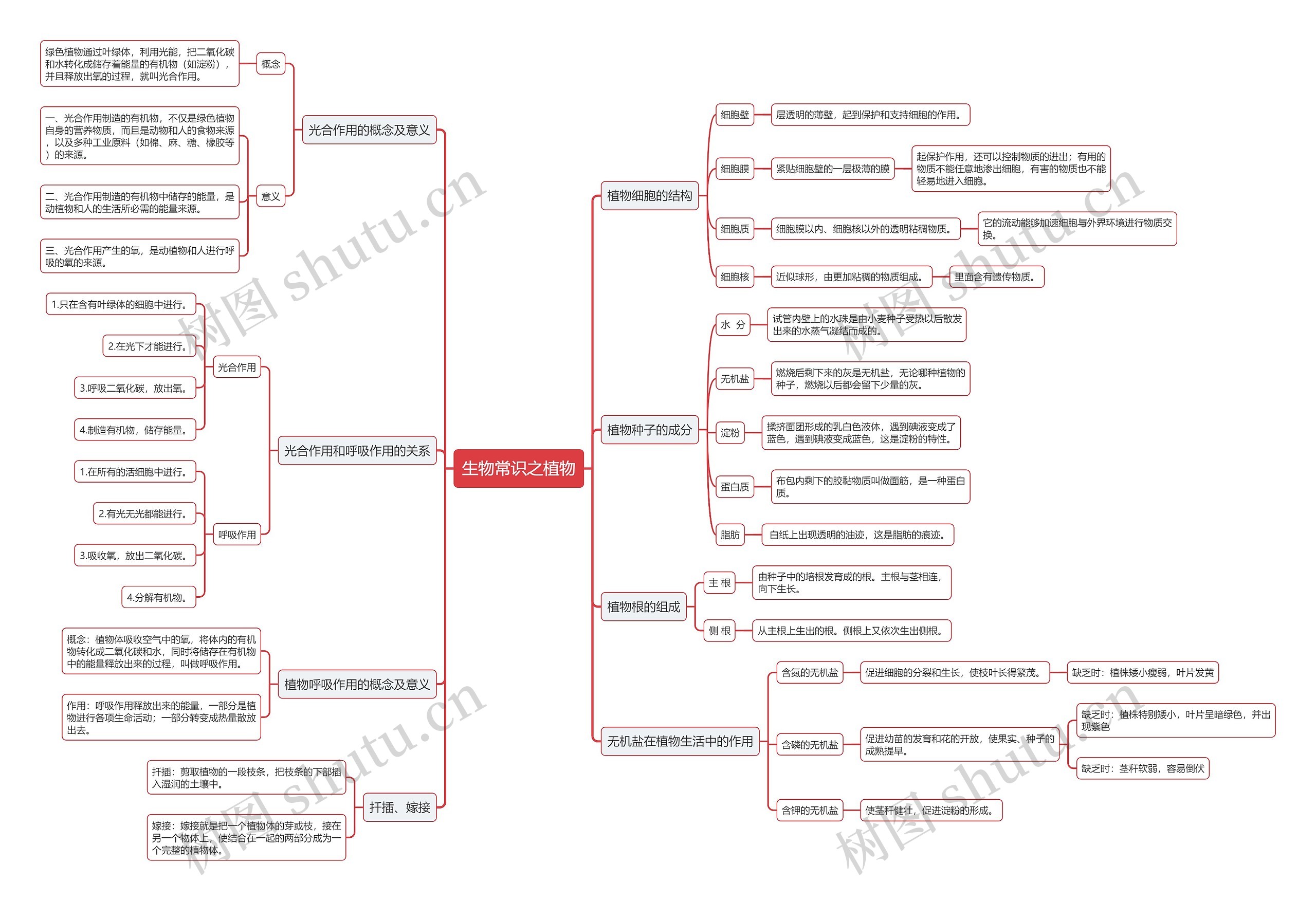 生物之植物常识思维导图