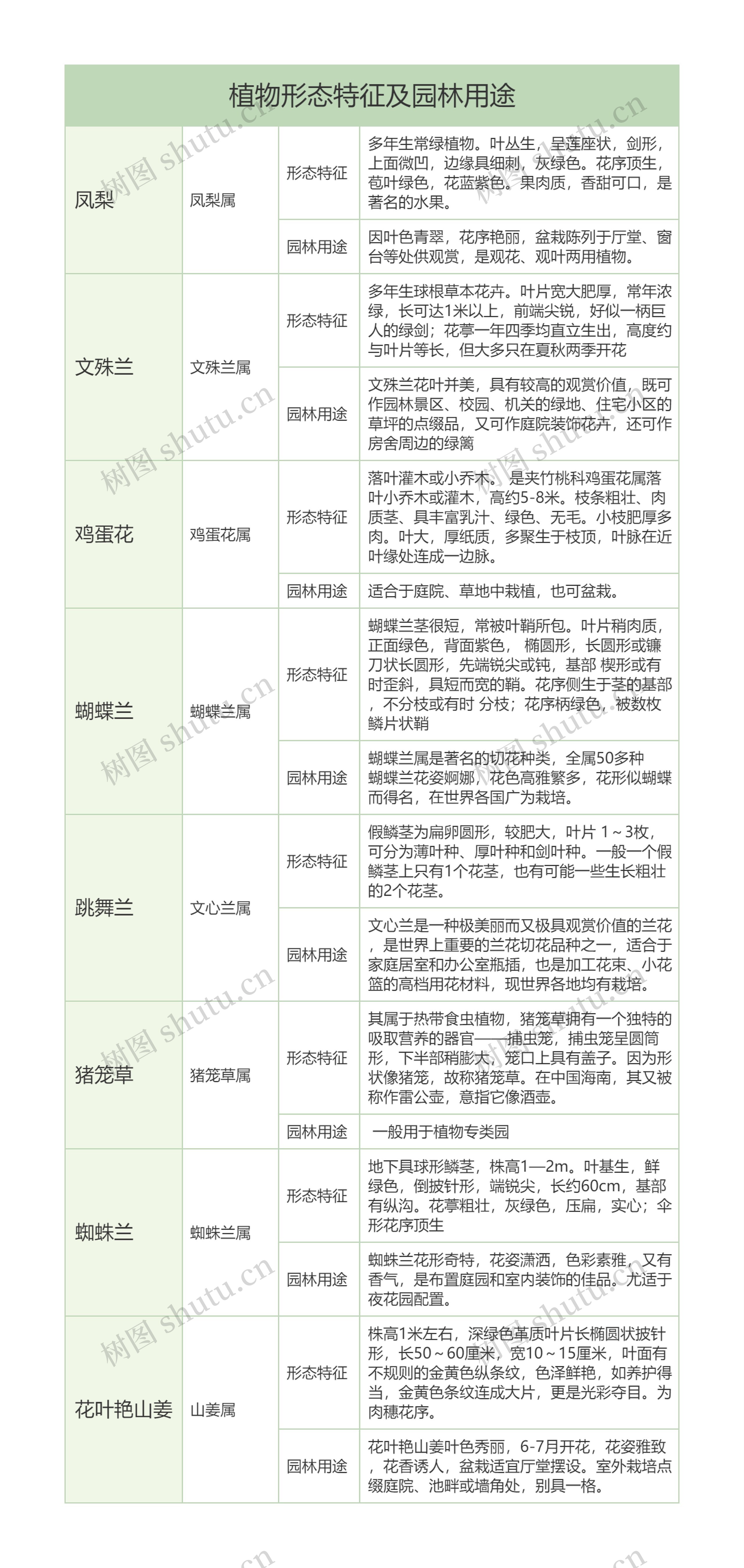 初中生物常见植物形态特征及园林用途树形表格