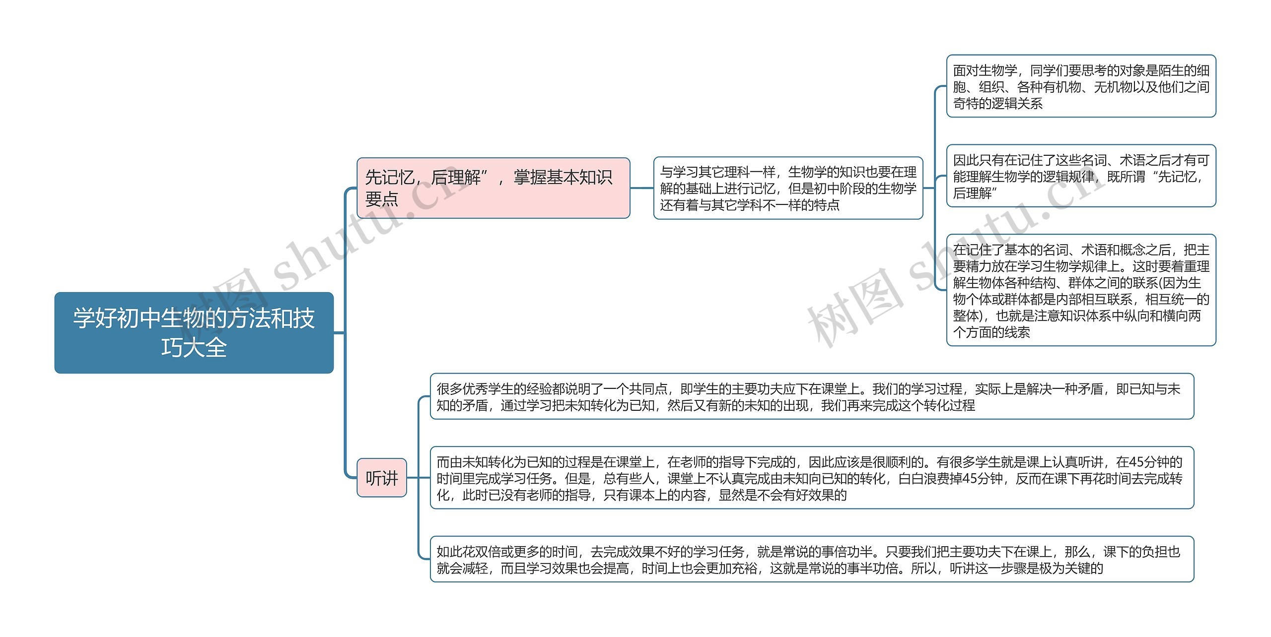 学好初中生物的方法和技巧大全思维导图